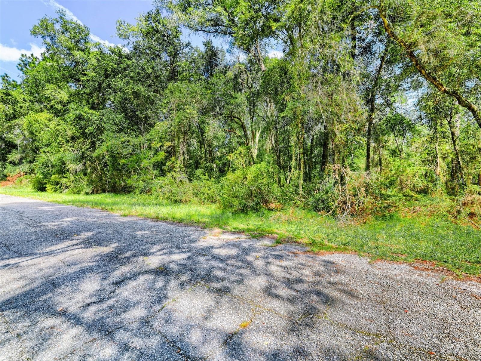 Land at 1163 E ODIN DR, CITRUS SPRINGS, photo 11 of 14