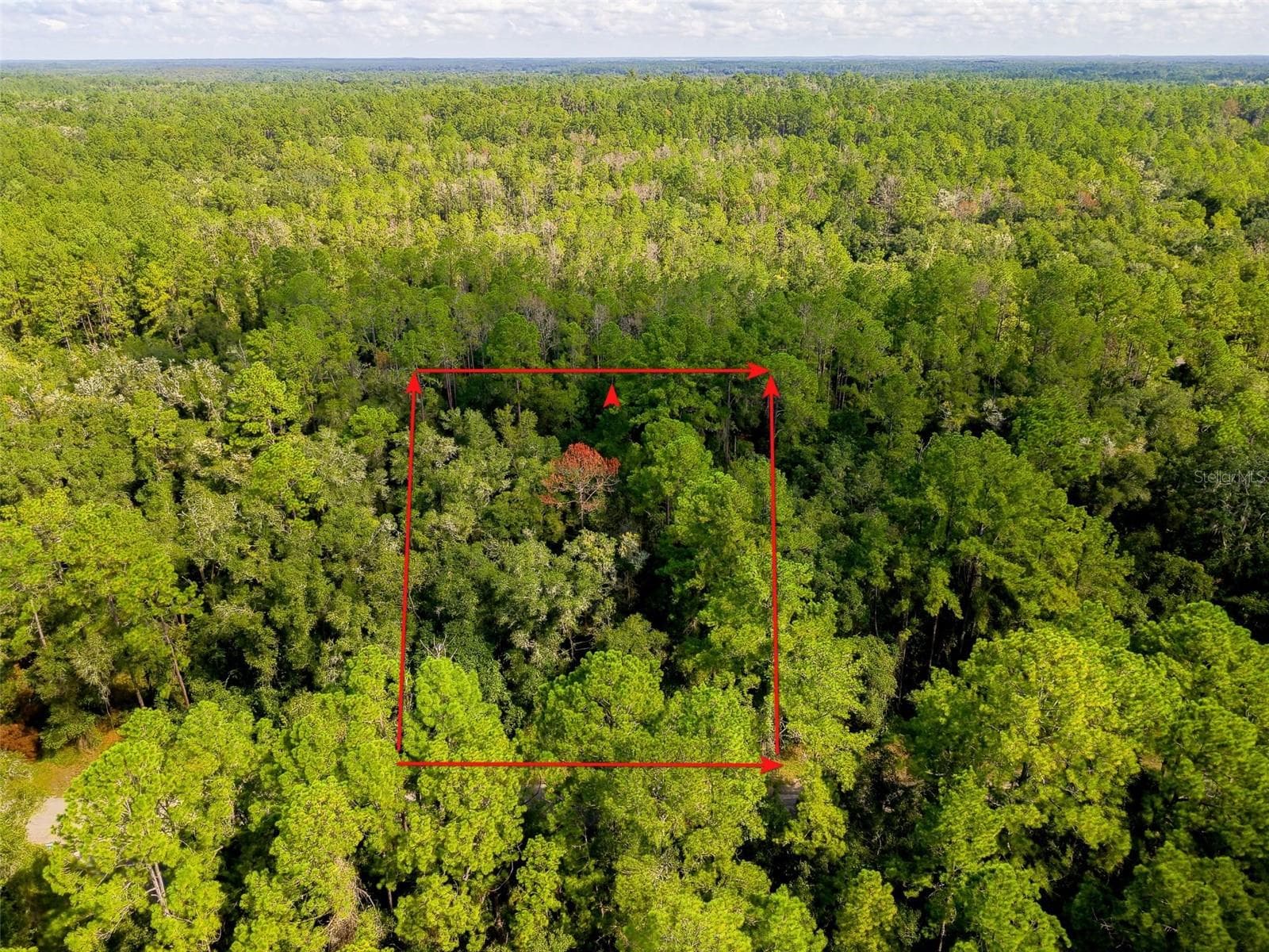 Land at 1163 E ODIN DR, CITRUS SPRINGS, photo 12 of 14