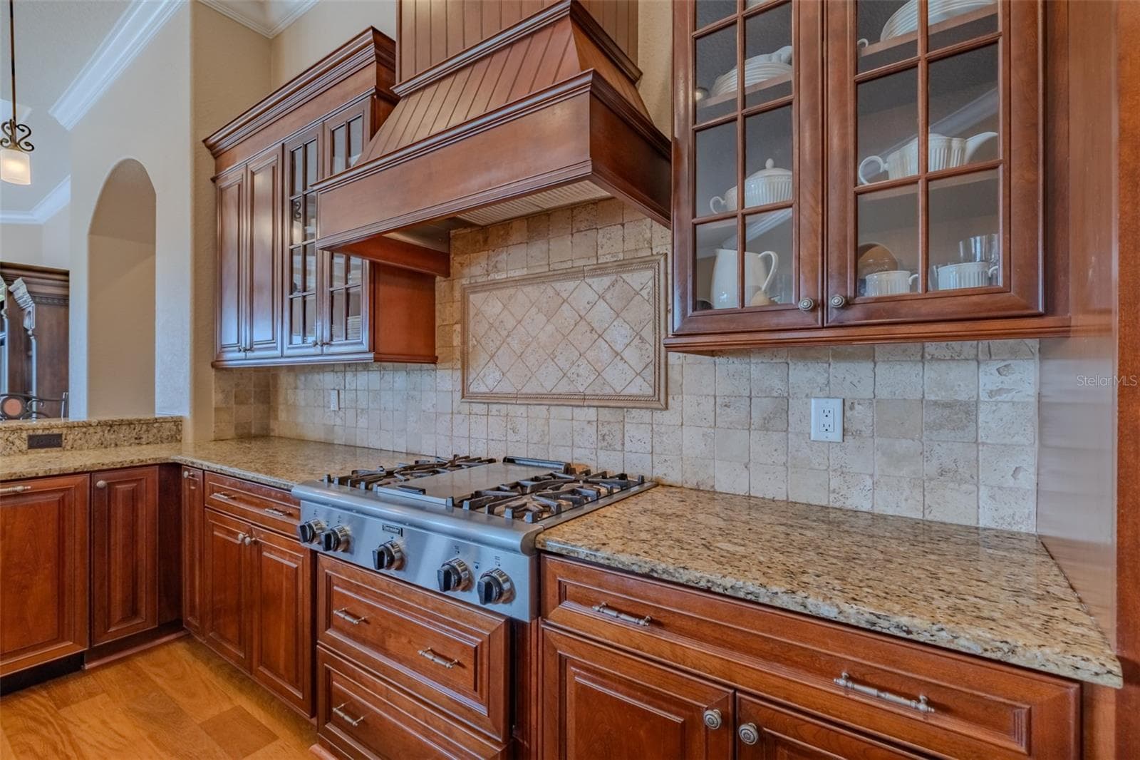 Single Family Residence at 10501 BROADLAND PASS, THONOTOSASSA, photo 16 of 98