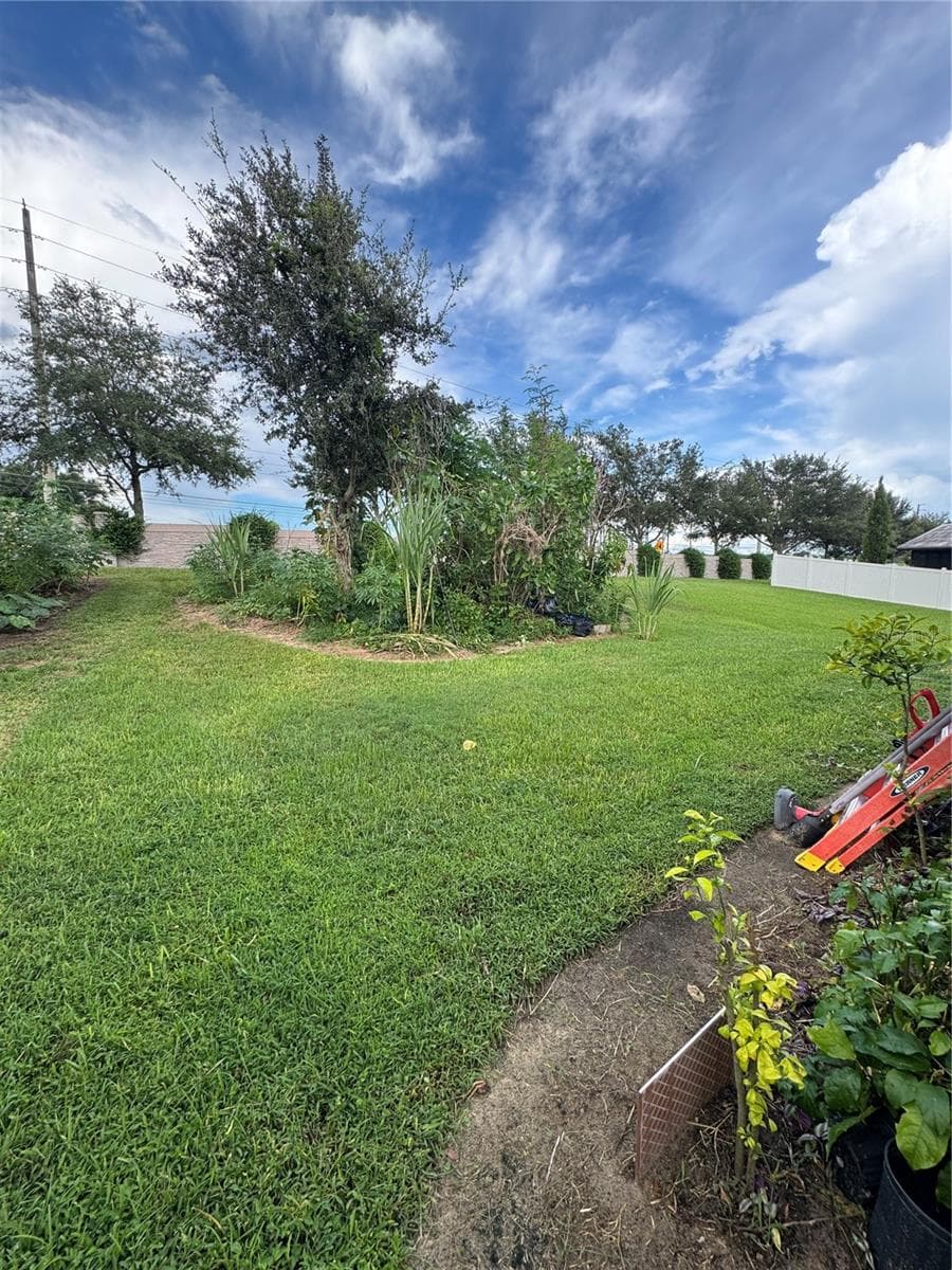 Backyard - 3538 HEART PINE LOOP, OCOEE