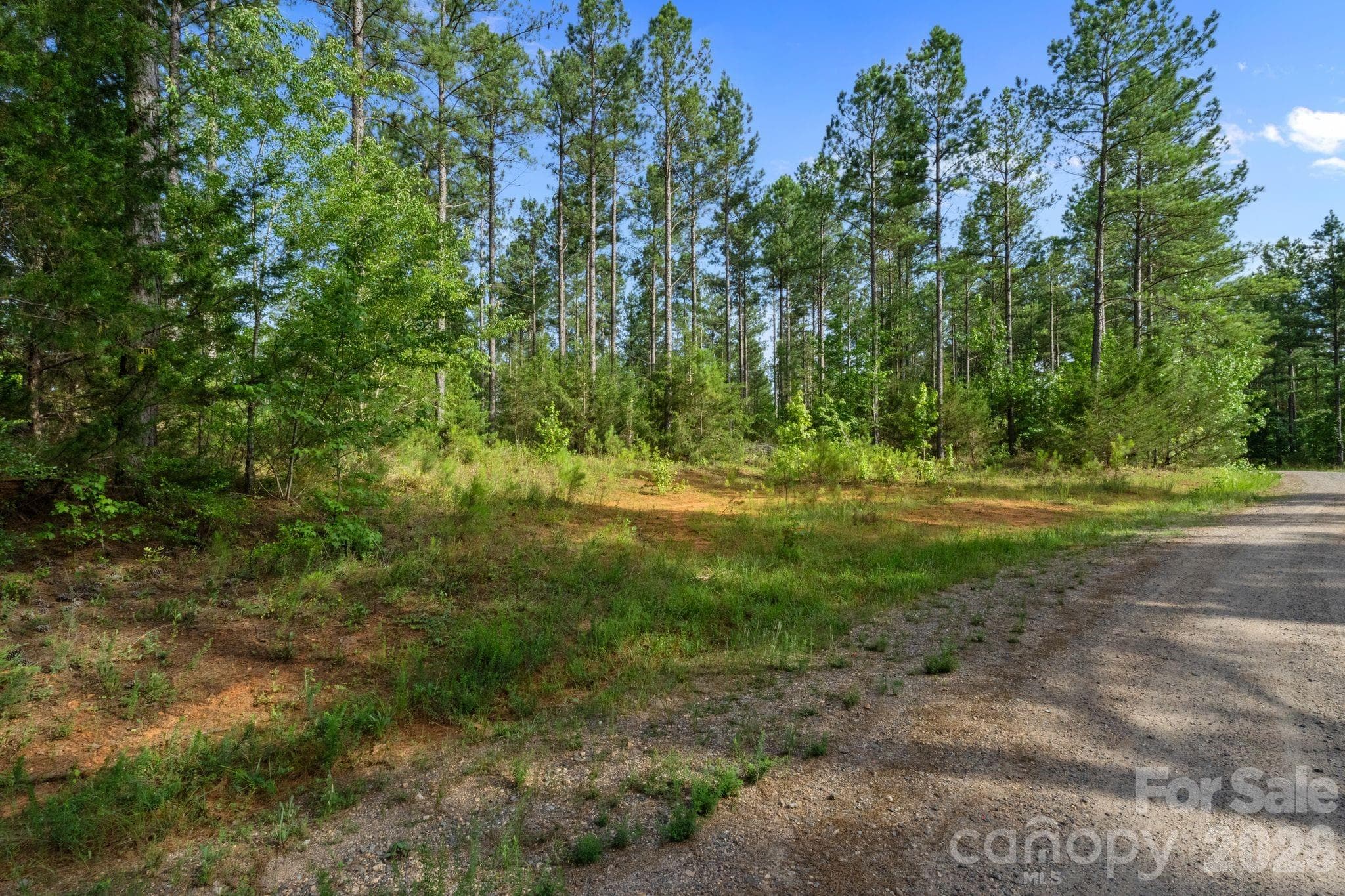 Acreage at 000 Peacehaven Road, McConnells, photo 25 of 43