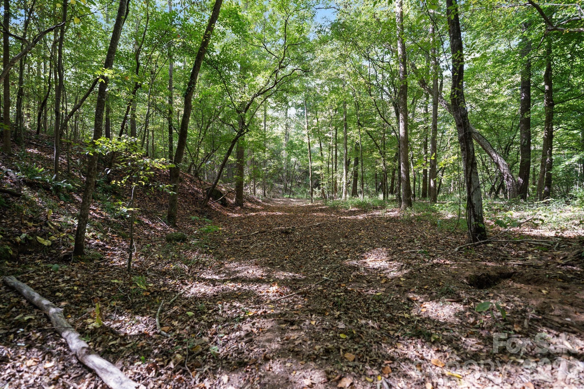 trails along the creek - 630 Turkey Creek Ridge Road, York