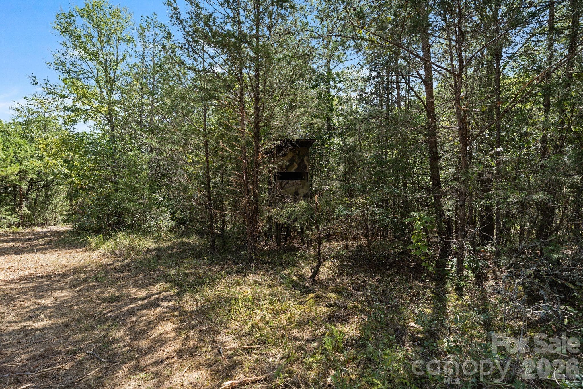 Acreage at 630 Turkey Creek Ridge Road, York, photo 33 of 46