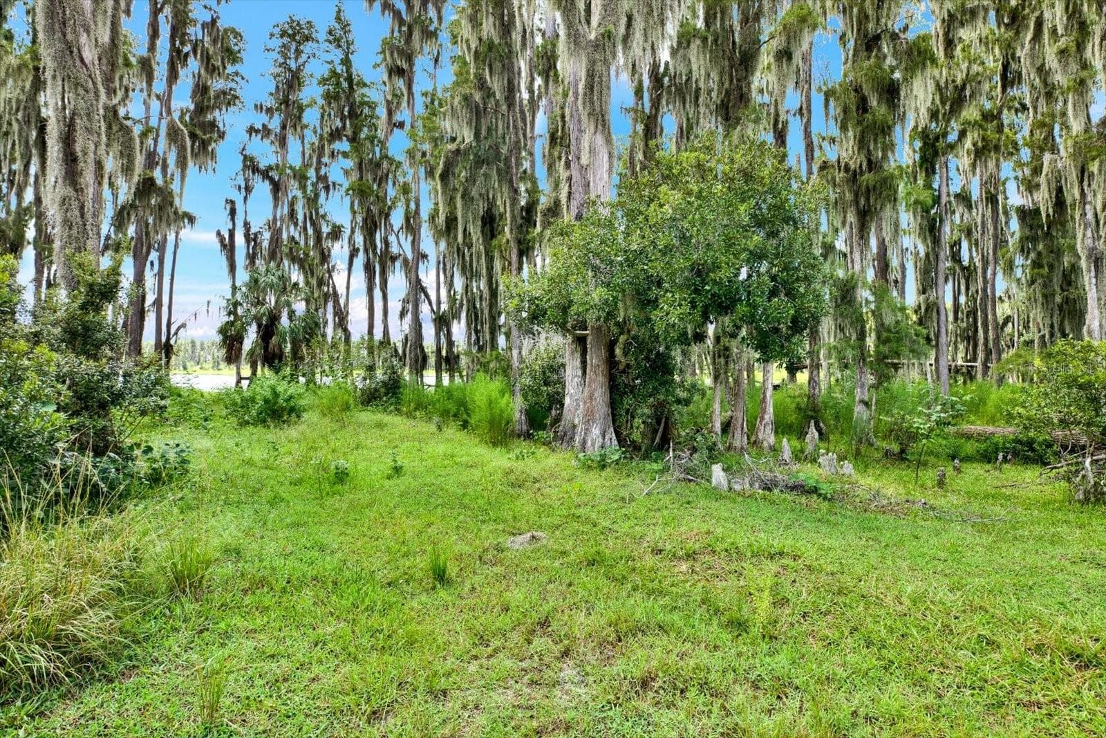 Land at 0 ALDERMAN TURNER RD #2, WIMAUMA, photo 13 of 16