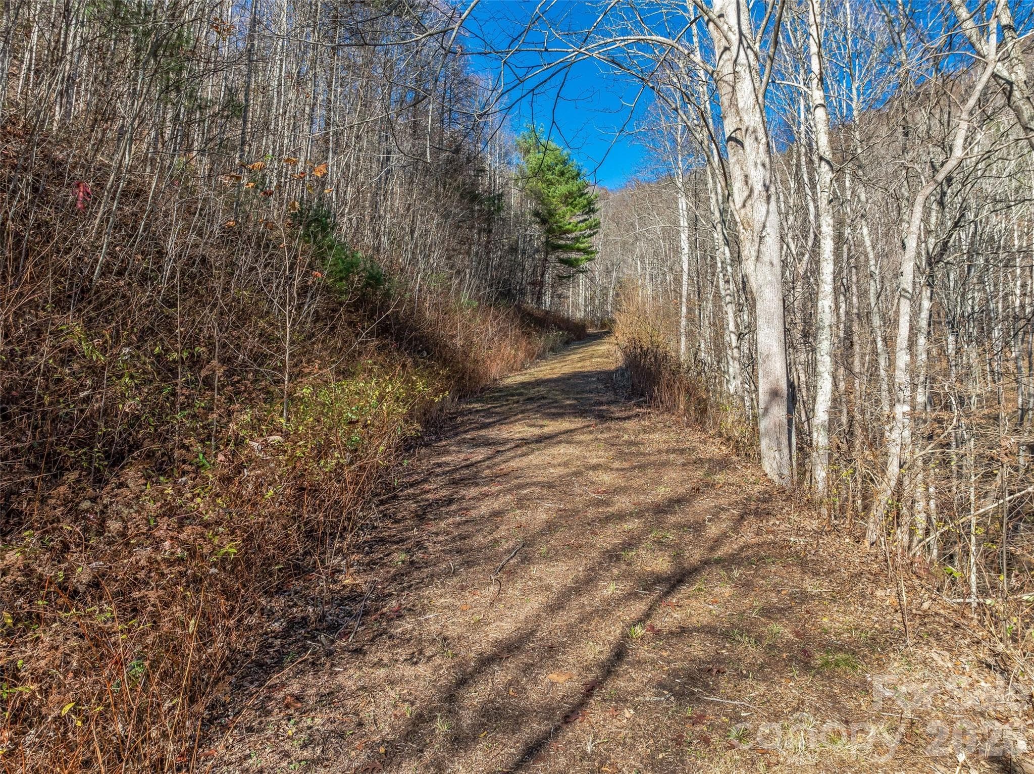 Acreage at TBD Walnut Creek Road, Marshall, photo 2 of 19