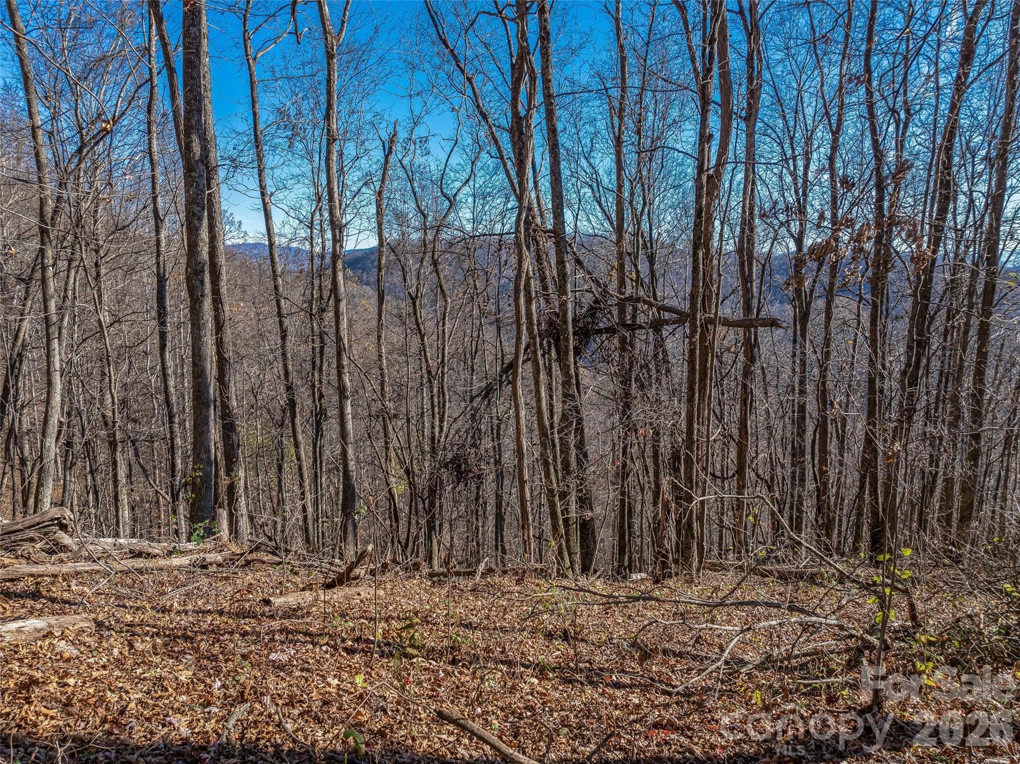 Acreage at TBD Walnut Creek Road, Marshall, photo 3 of 19