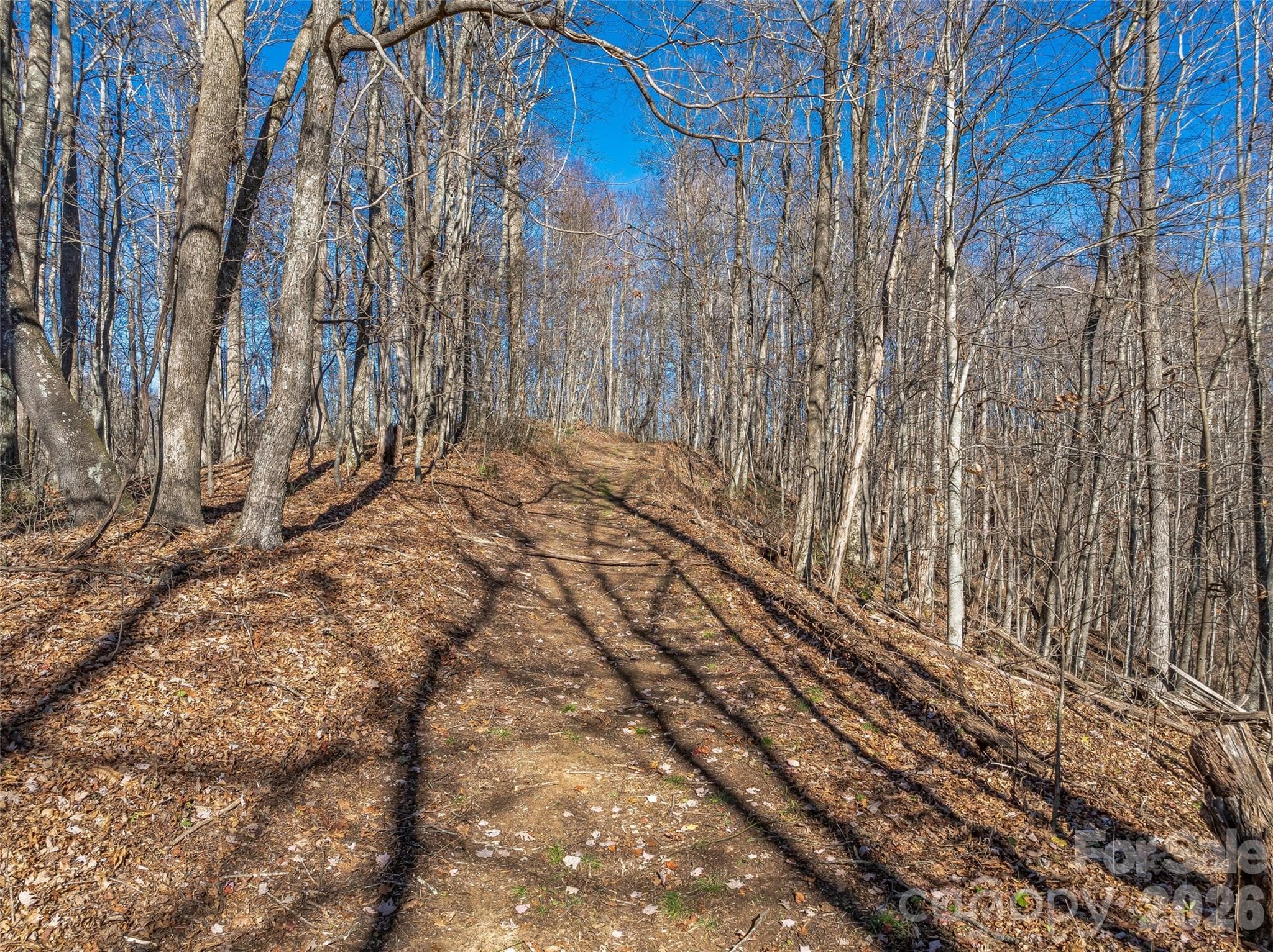 Acreage at TBD Walnut Creek Road, Marshall, photo 4 of 19