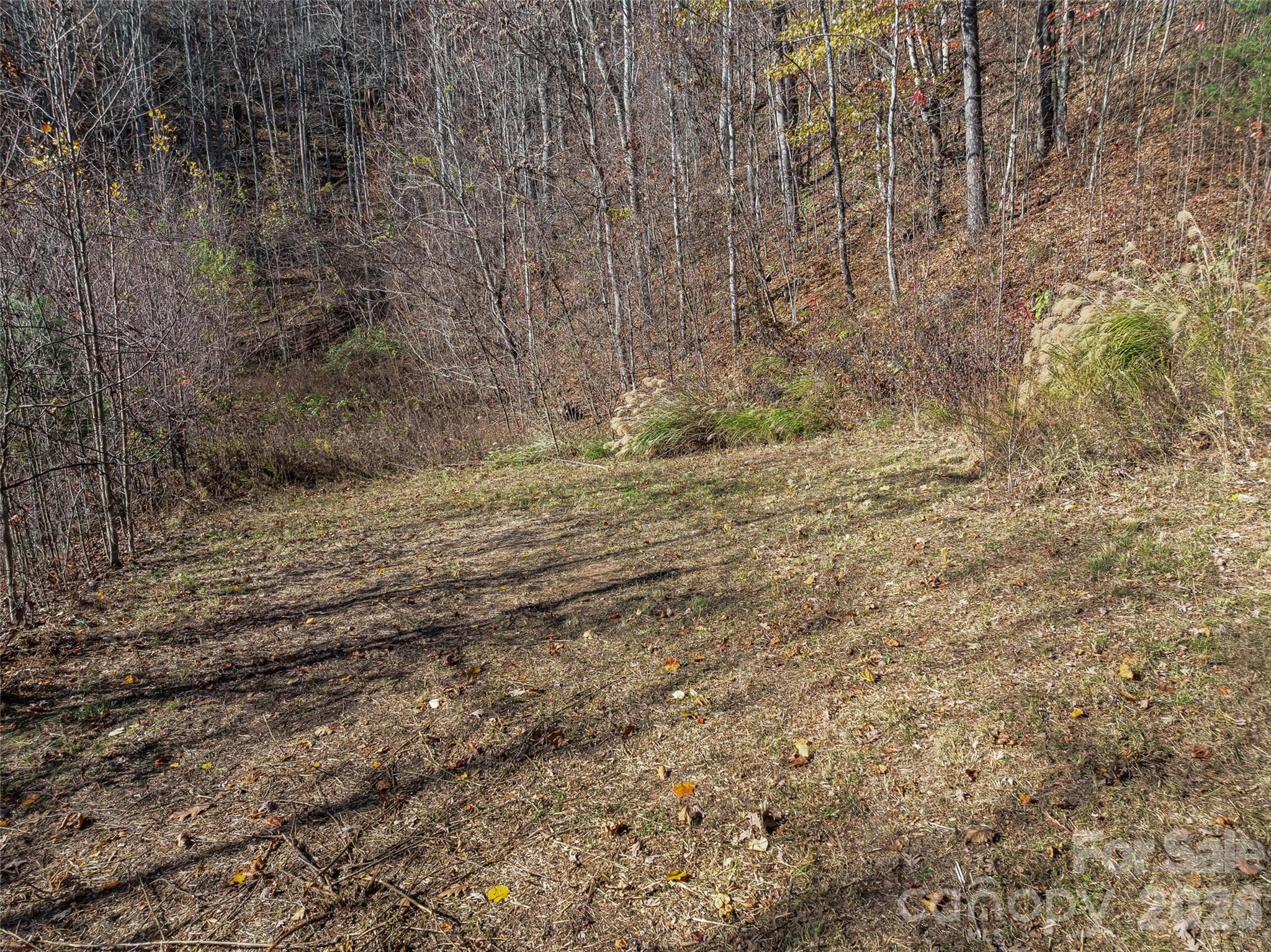 Acreage at TBD Walnut Creek Road, Marshall, photo 7 of 19