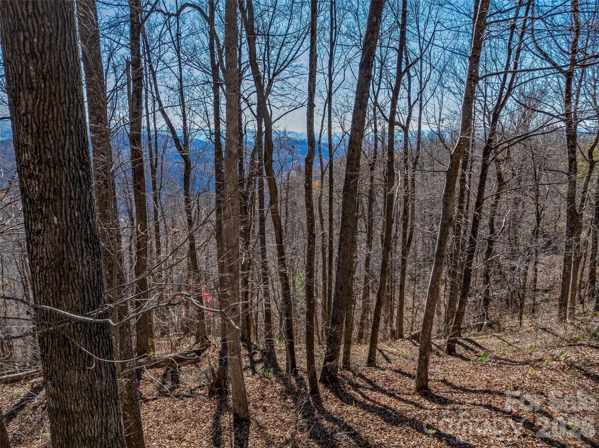 Acreage at TBD Walnut Creek Road, Marshall, photo 9 of 19