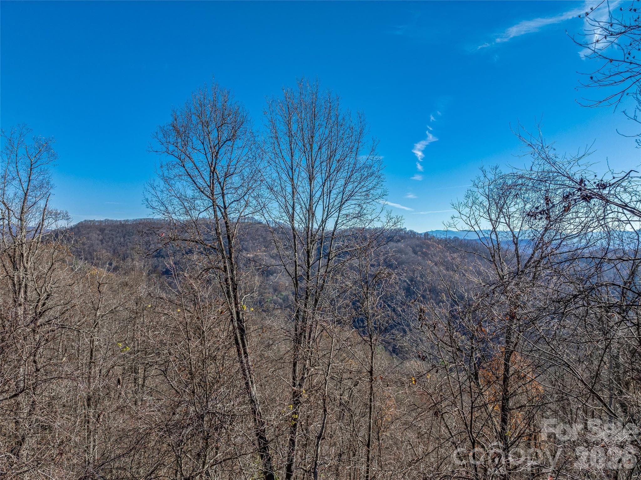 Acreage at TBD Walnut Creek Road, Marshall, photo 14 of 19