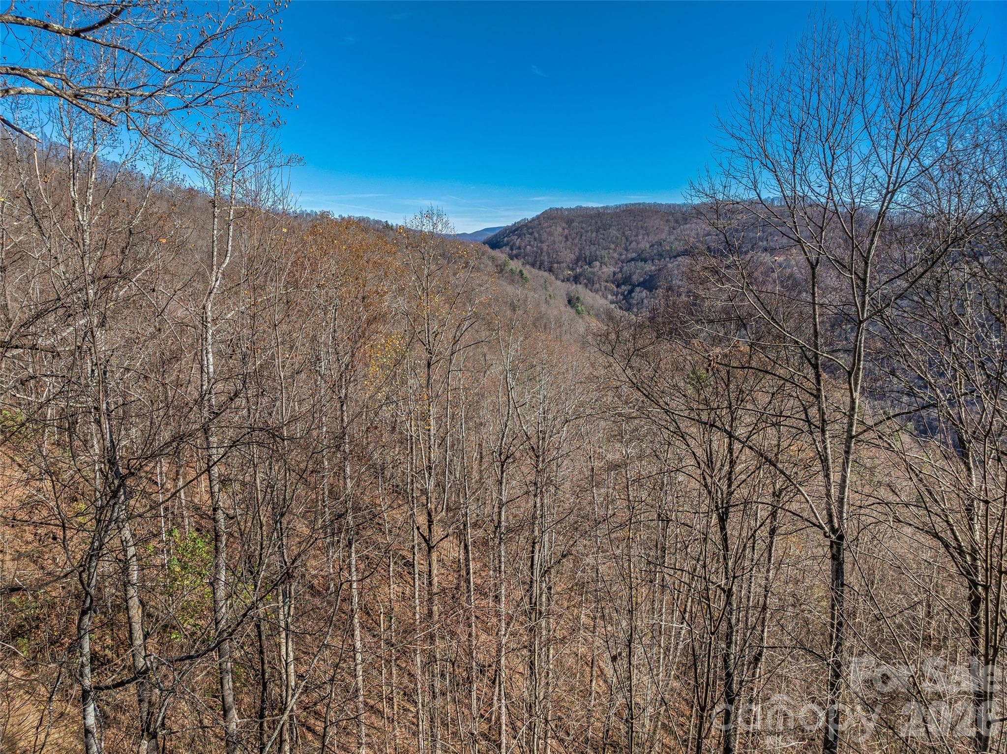 Acreage at TBD Walnut Creek Road, Marshall, photo 16 of 19