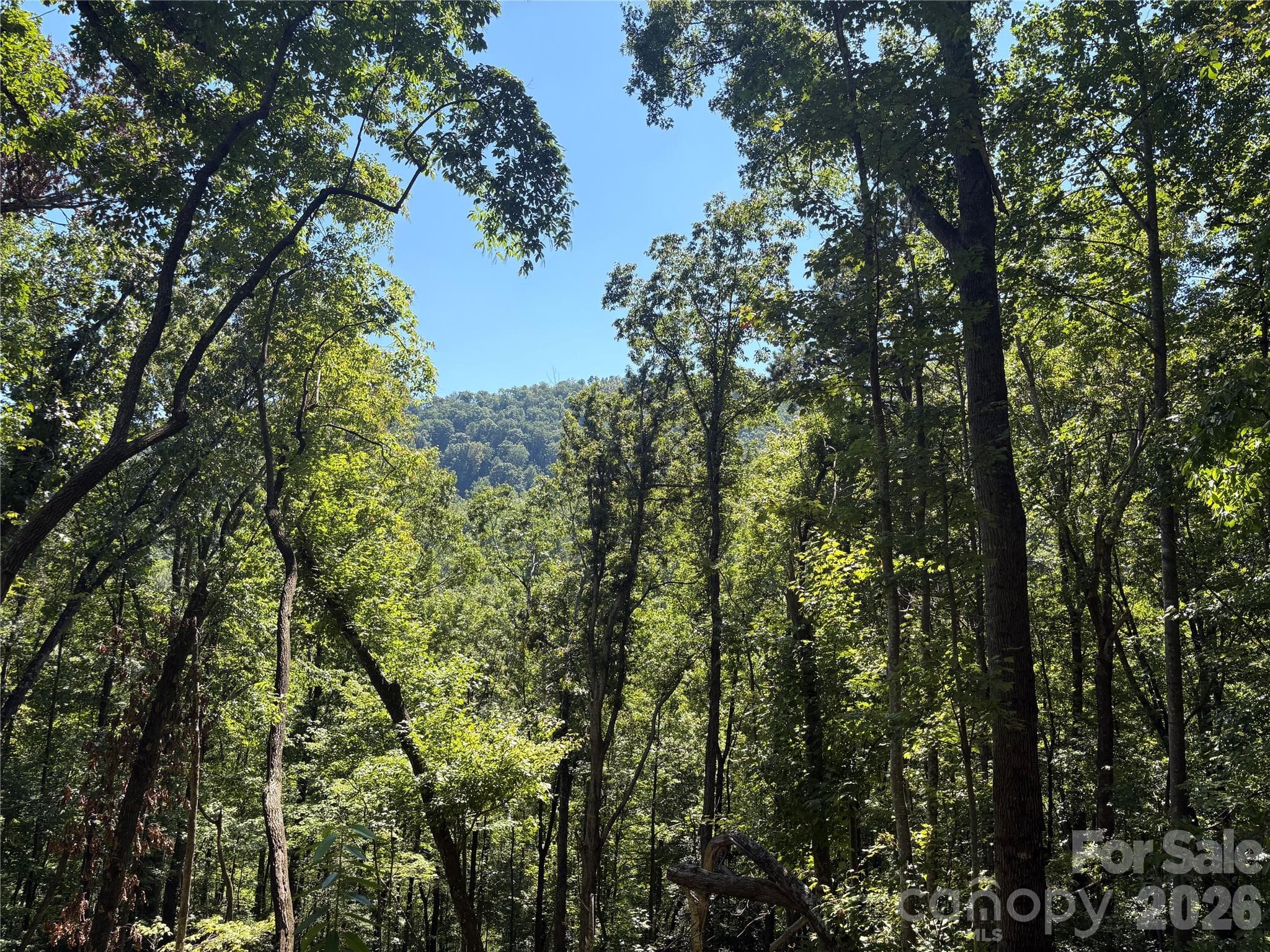 Acreage at Black Mountain, photo 4 of 27