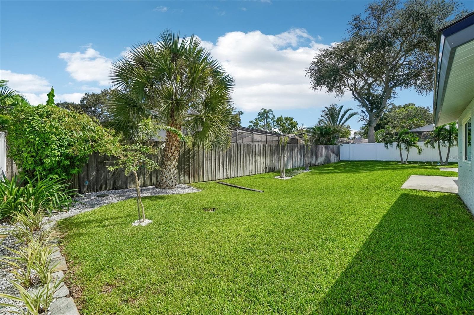 Backyard – The generous backyard offers a broad stretch of lawn bordered by mature palms and established landscaping, providing plenty of open outdoor space. - 971 CORTLAND WAY, PALM HARBOR
