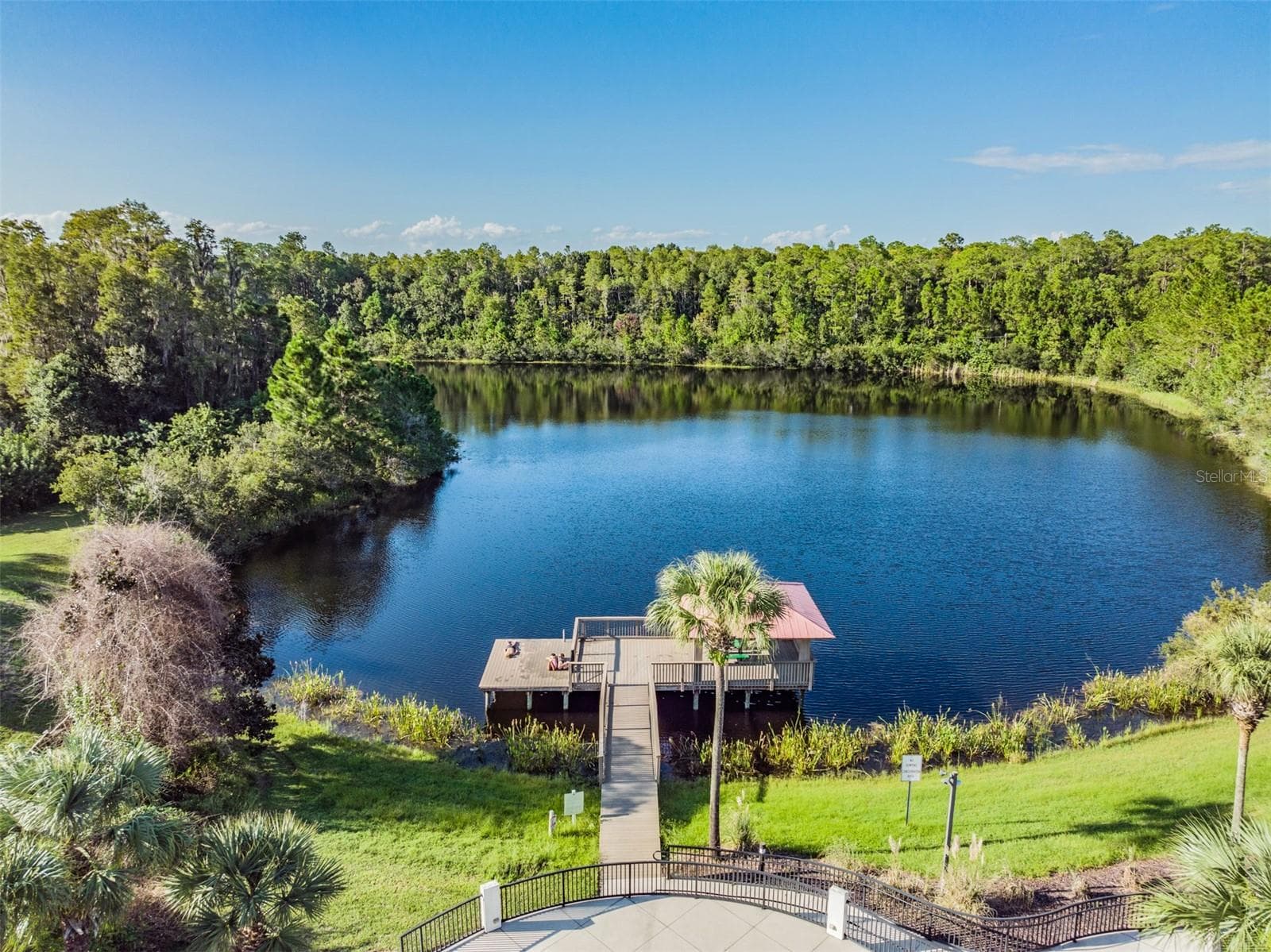 Single Family Residence at 8118 WATER COLOR DR, LAND O LAKES, photo 57 of 60