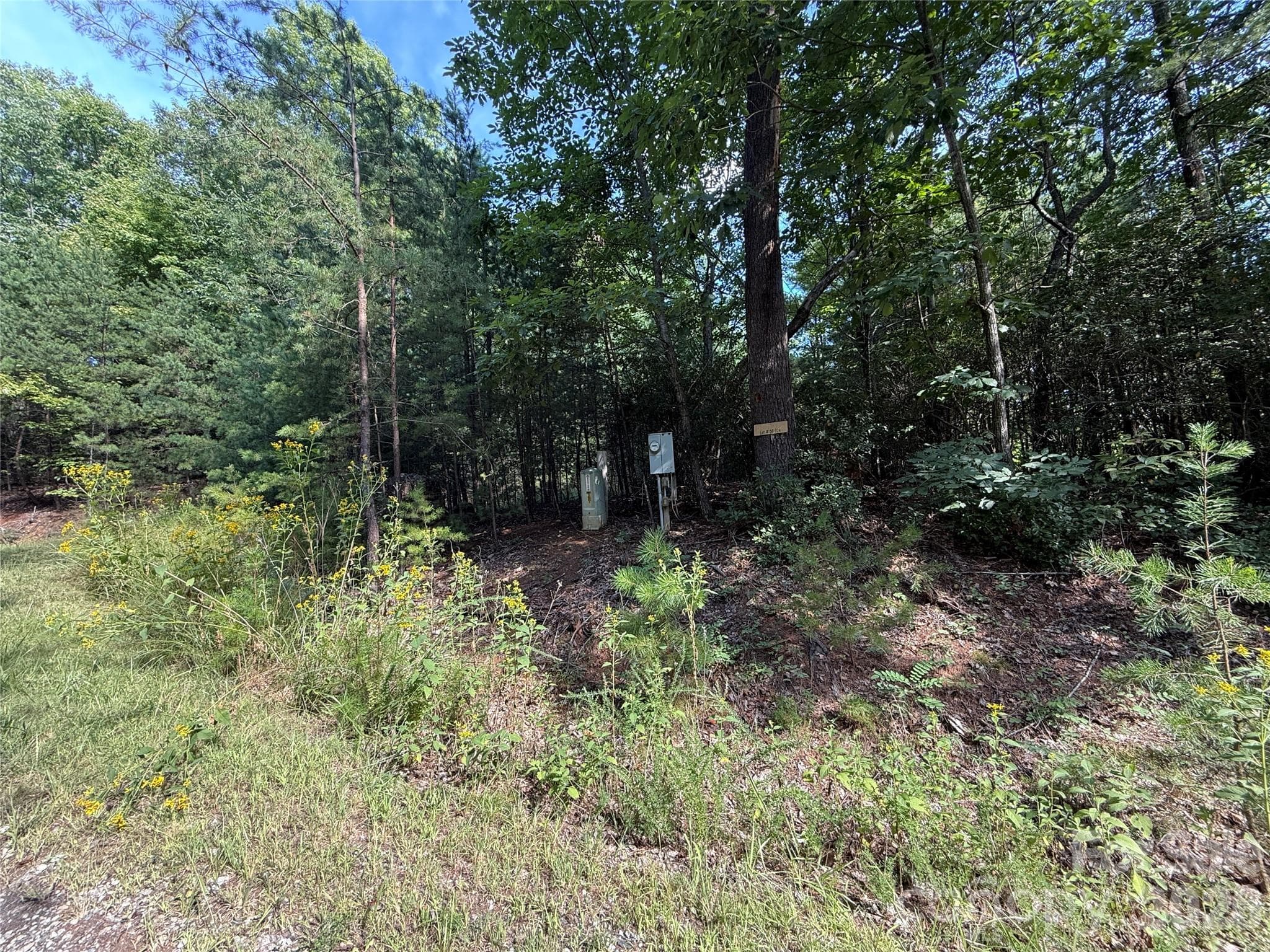 Underground Power and Fiber Optic on Lot 24 - TBD Wolf Pen Road, Purlear