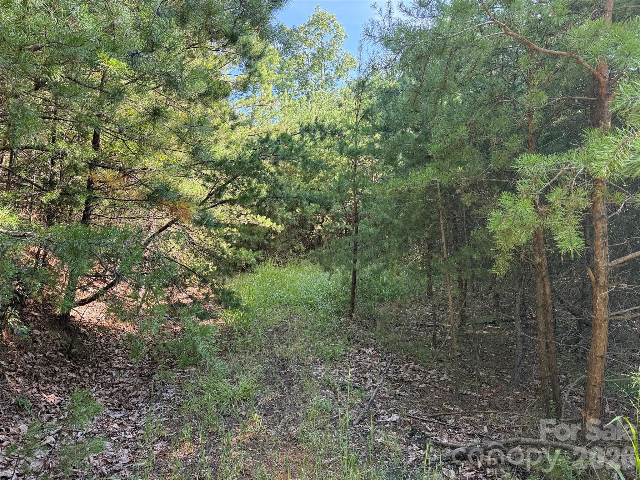 Lot at TBD Wolf Pen Road, Purlear, photo 4 of 40