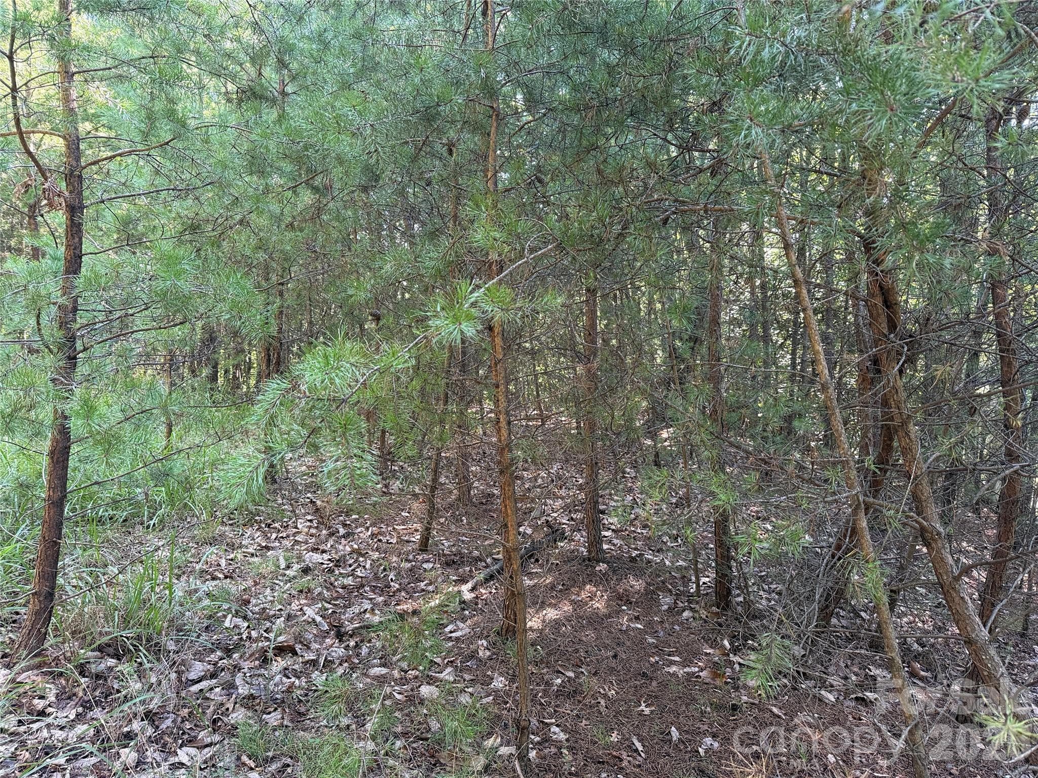 Lot at TBD Wolf Pen Road, Purlear, photo 5 of 40