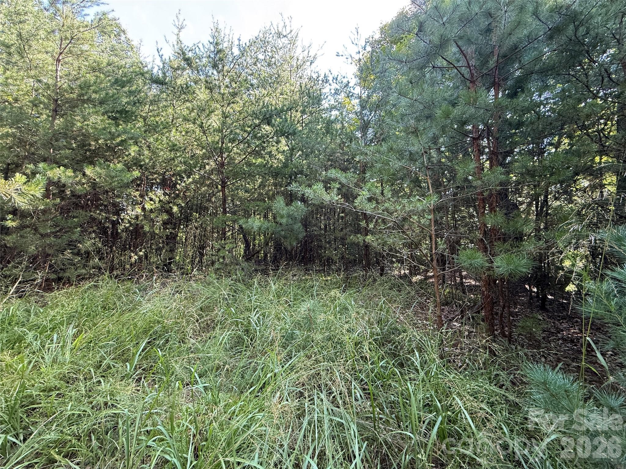 Lot at TBD Wolf Pen Road, Purlear, photo 6 of 40