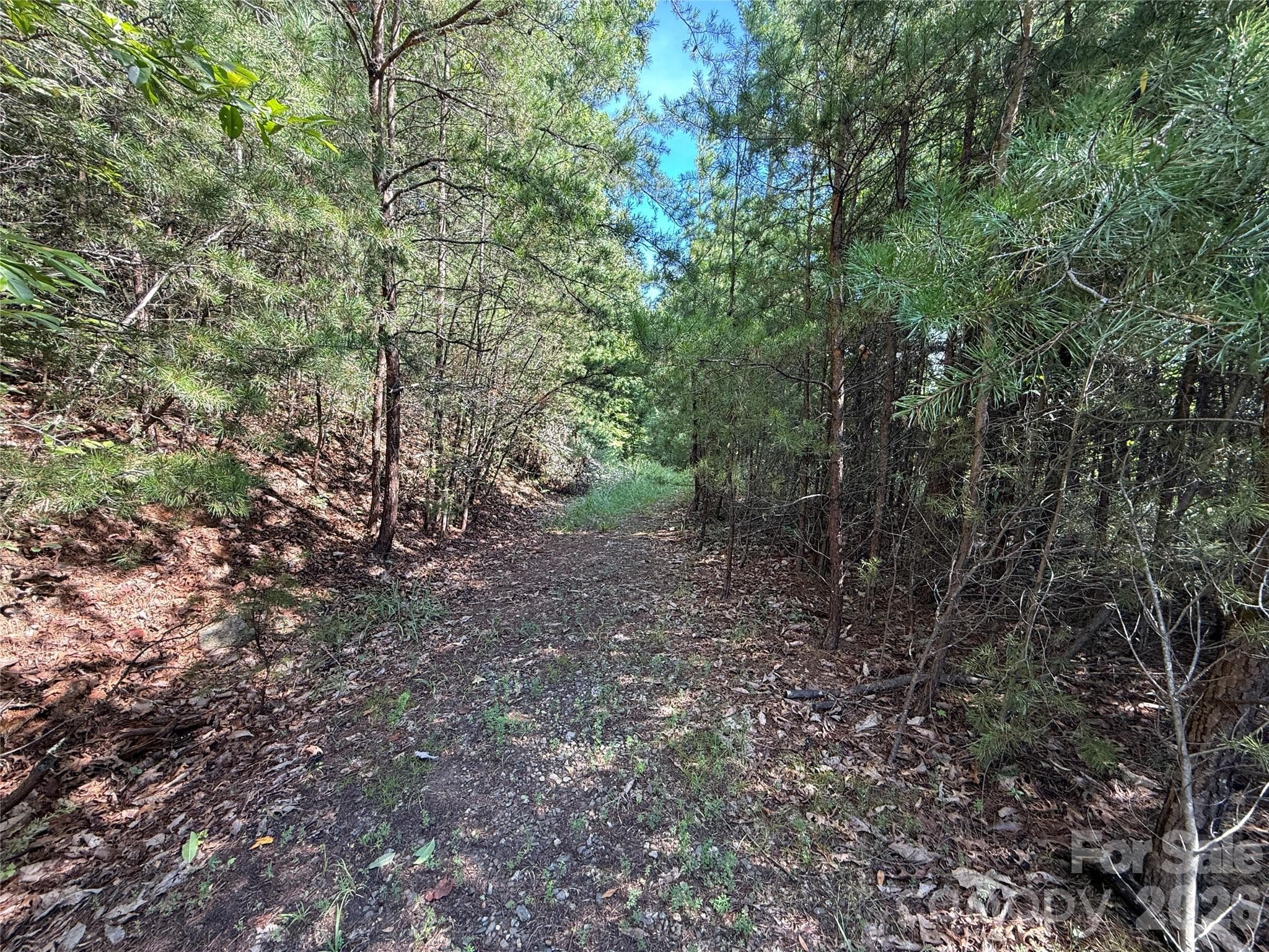 Lot at TBD Wolf Pen Road, Purlear, photo 7 of 40