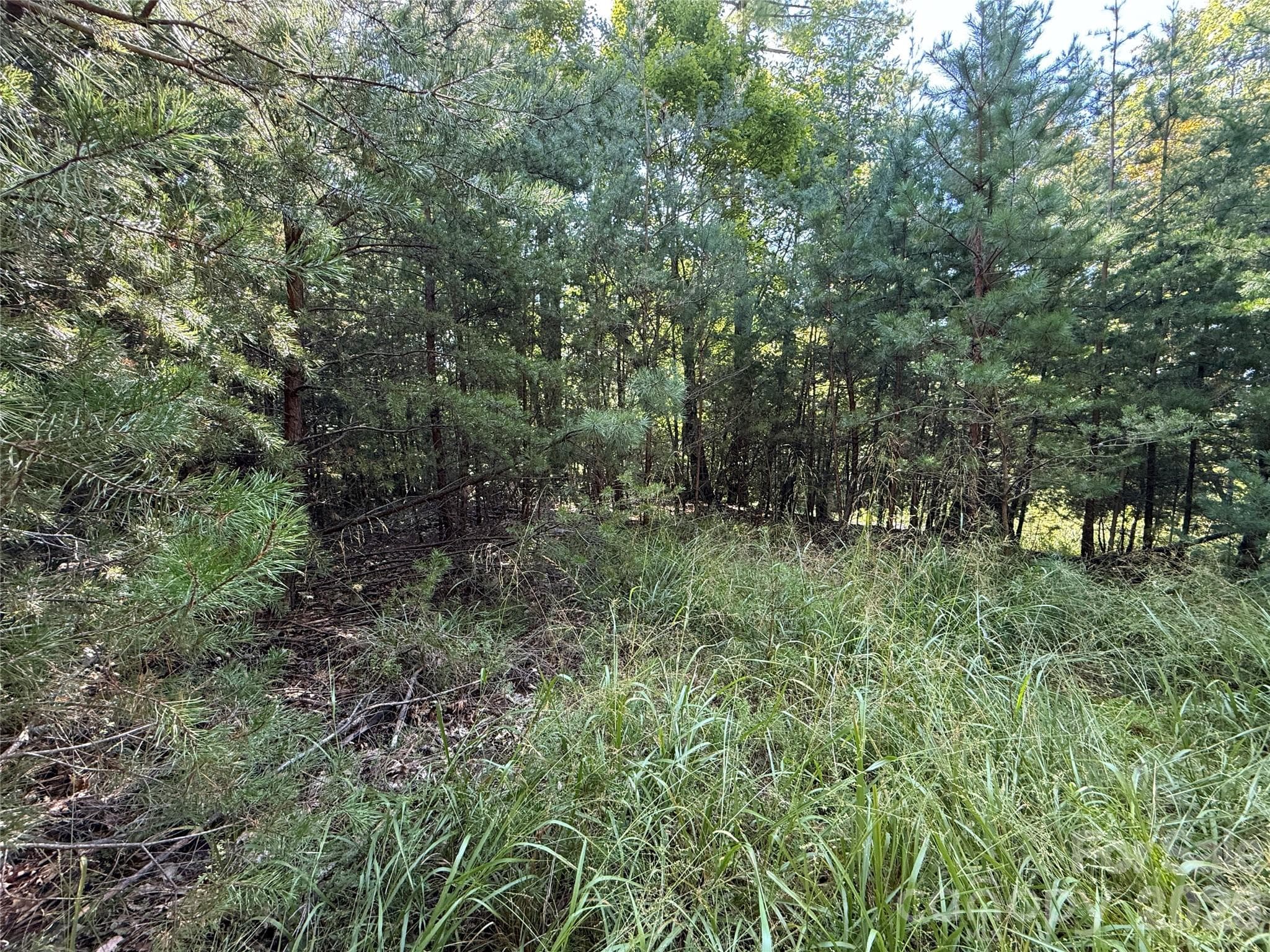 Lot at TBD Wolf Pen Road, Purlear, photo 8 of 40