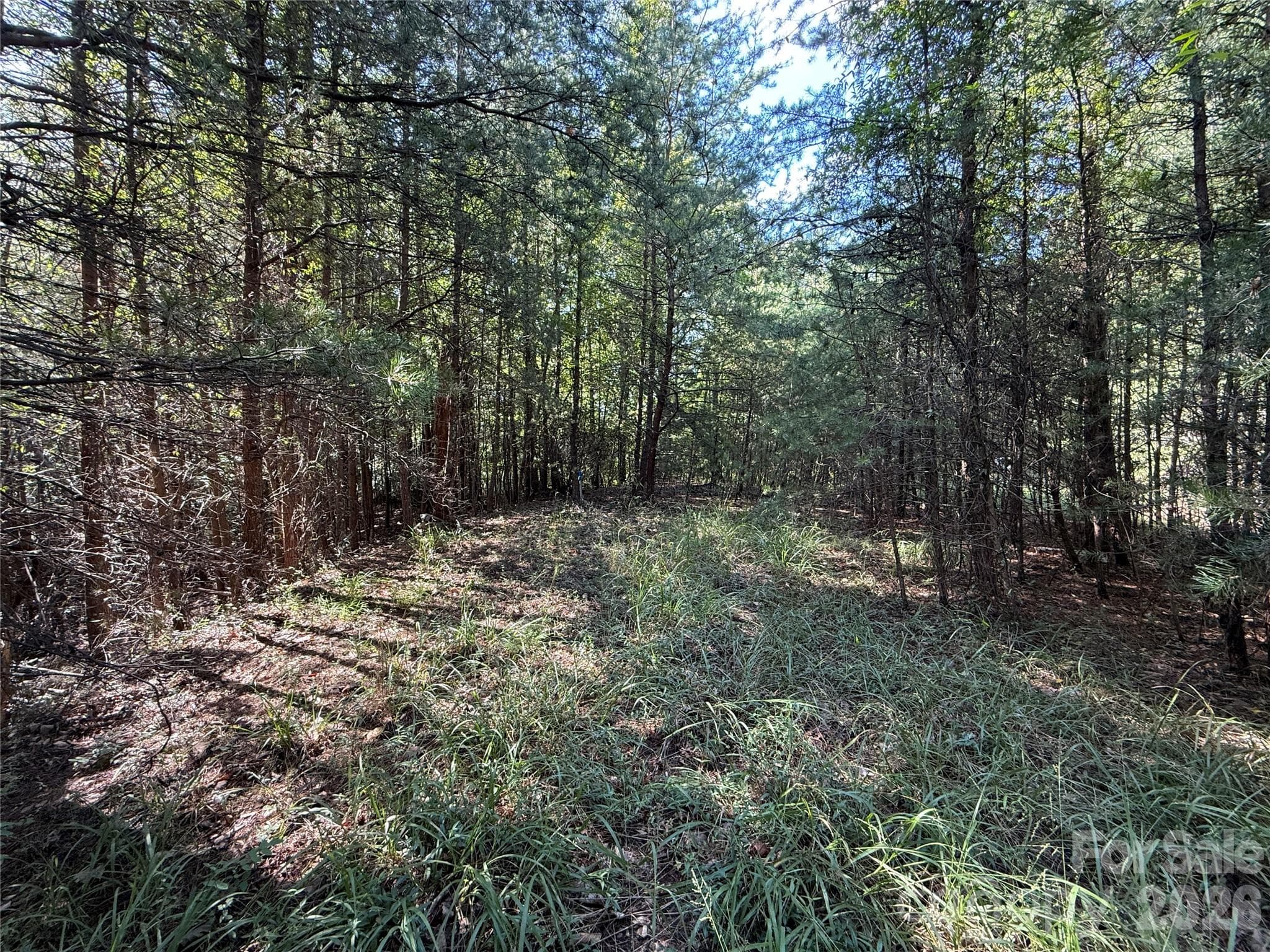 Lot at TBD Wolf Pen Road, Purlear, photo 10 of 40