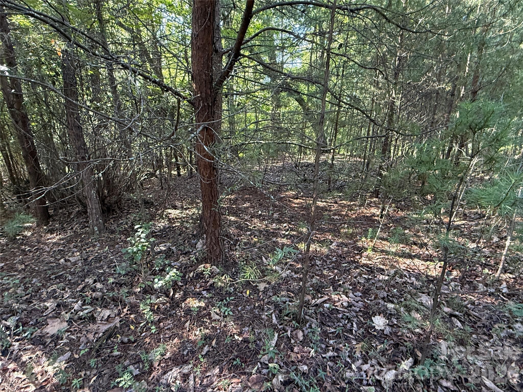 Lot at TBD Wolf Pen Road, Purlear, photo 12 of 40