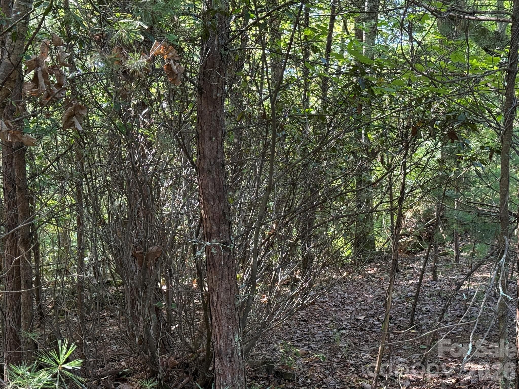 Lot at TBD Wolf Pen Road, Purlear, photo 13 of 40