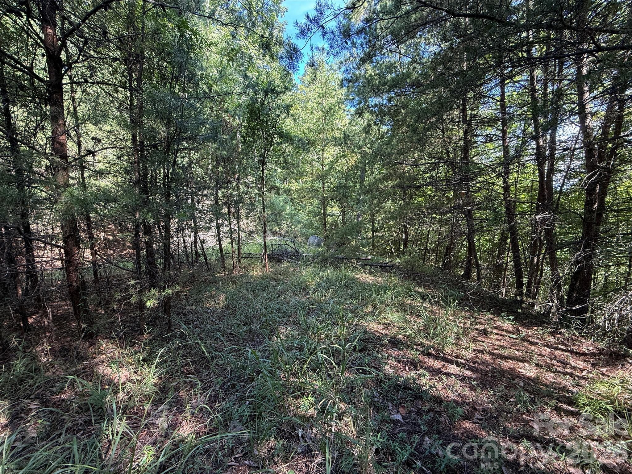 Lot at TBD Wolf Pen Road, Purlear, photo 14 of 40