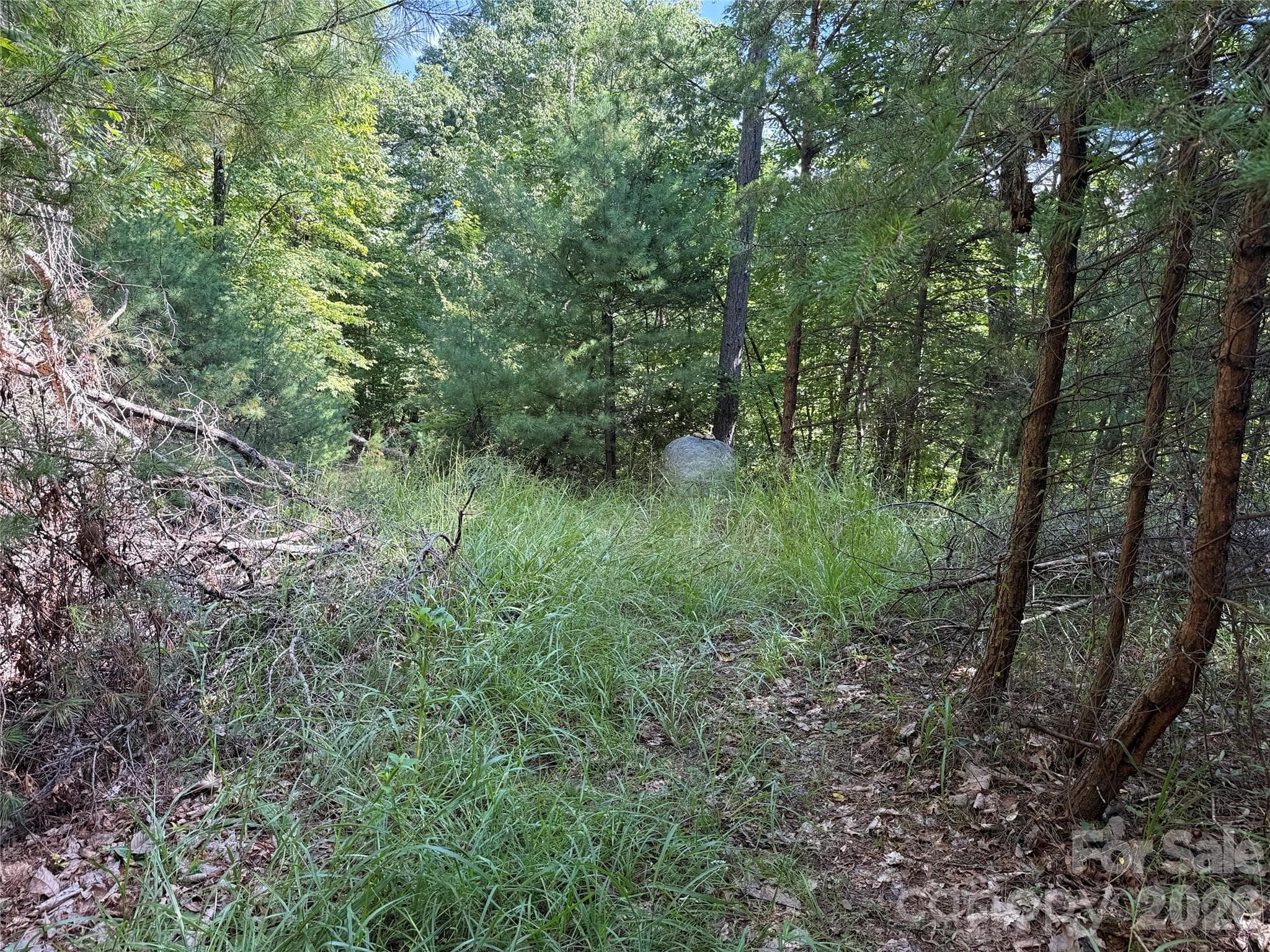 Lot at TBD Wolf Pen Road, Purlear, photo 15 of 40
