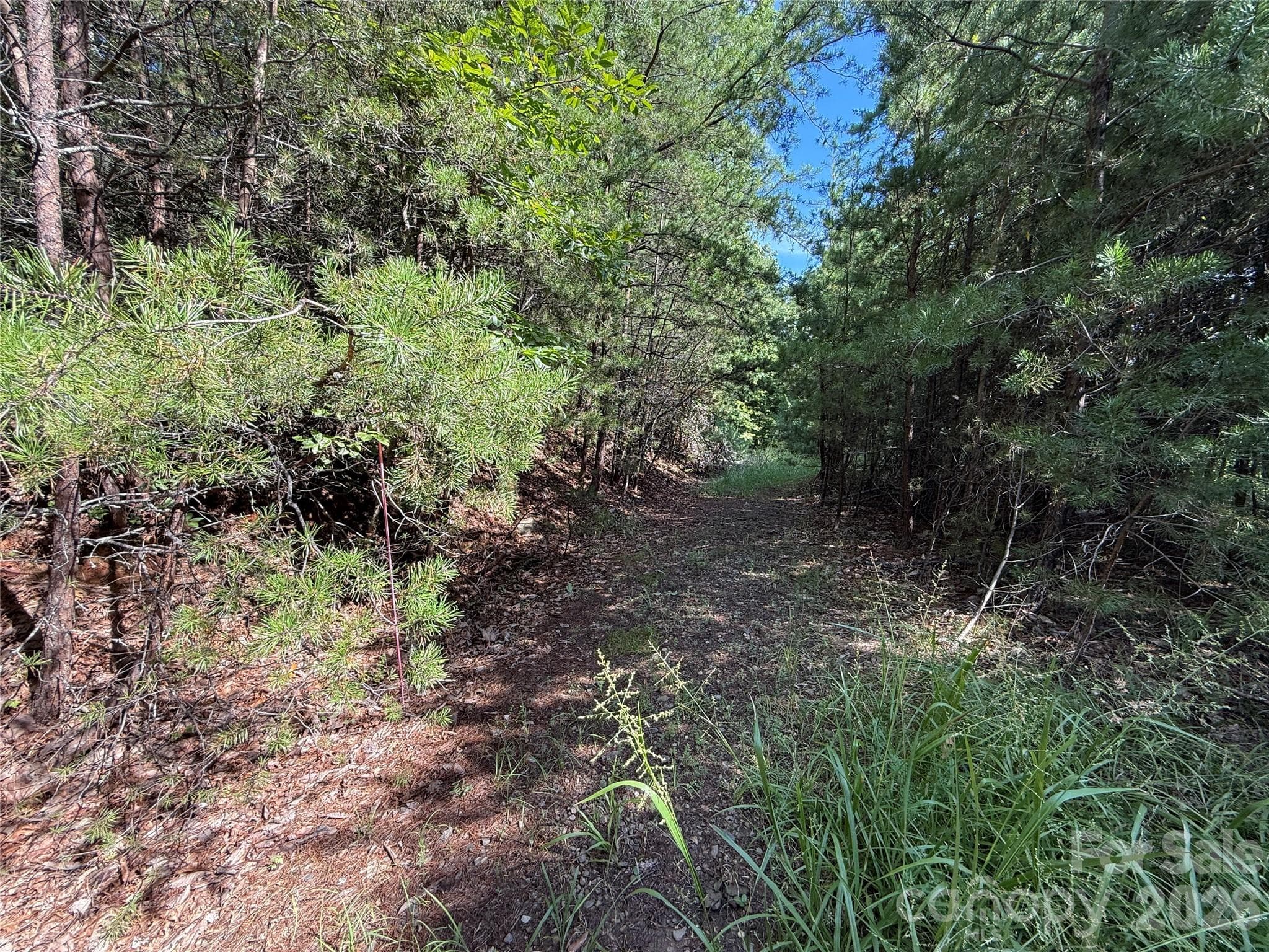 Lot at TBD Wolf Pen Road, Purlear, photo 16 of 40