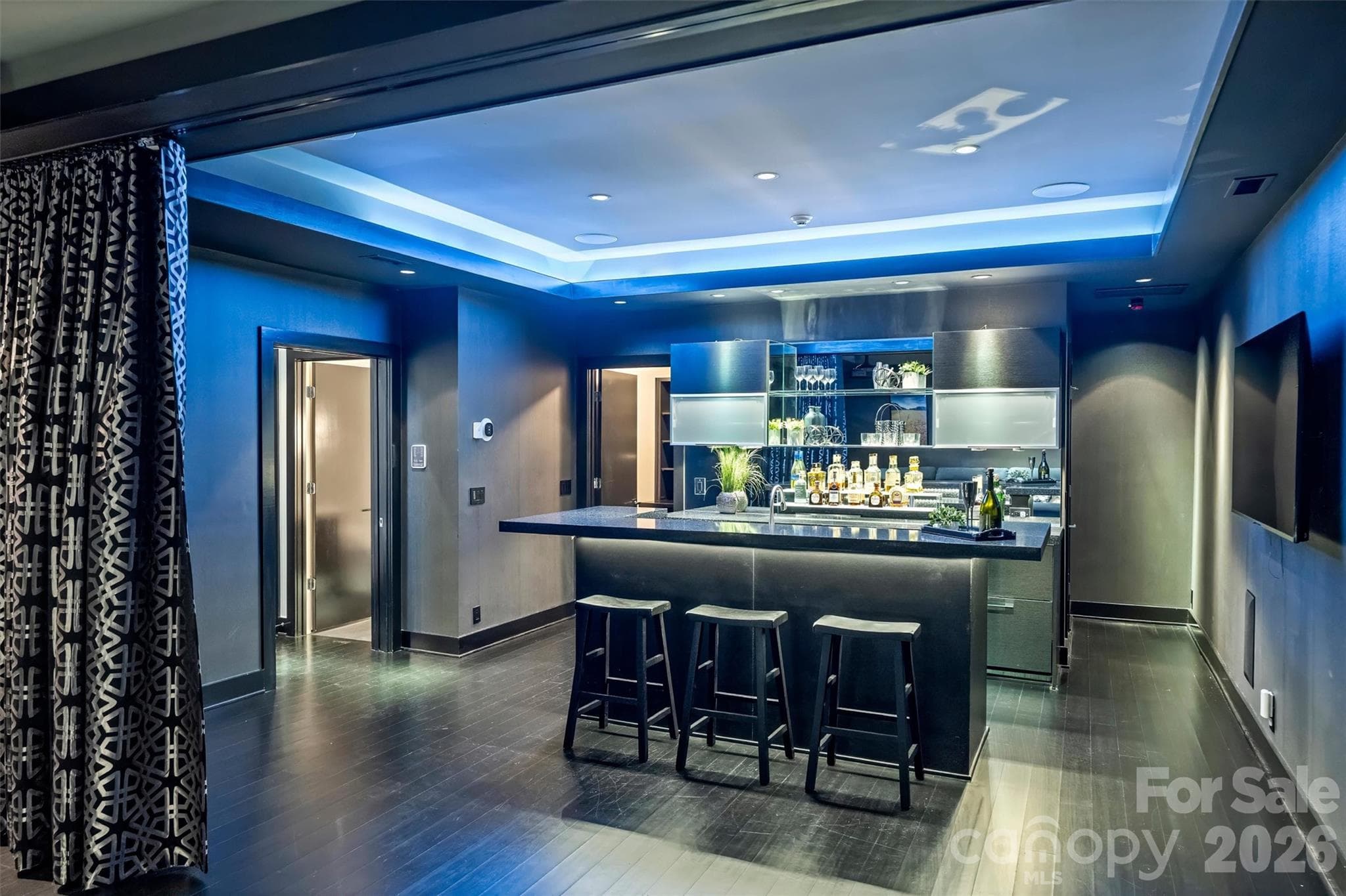 Entertainment Area - 423 S Summit Avenue, Charlotte