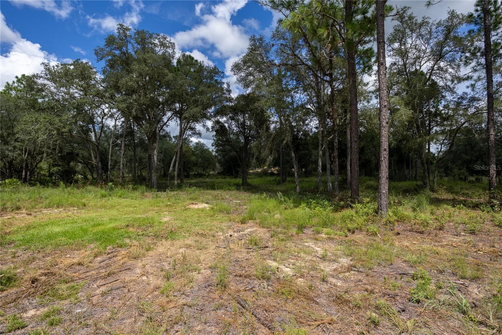 Land at 11491 NE 109TH PL, ARCHER, photo 9 of 22