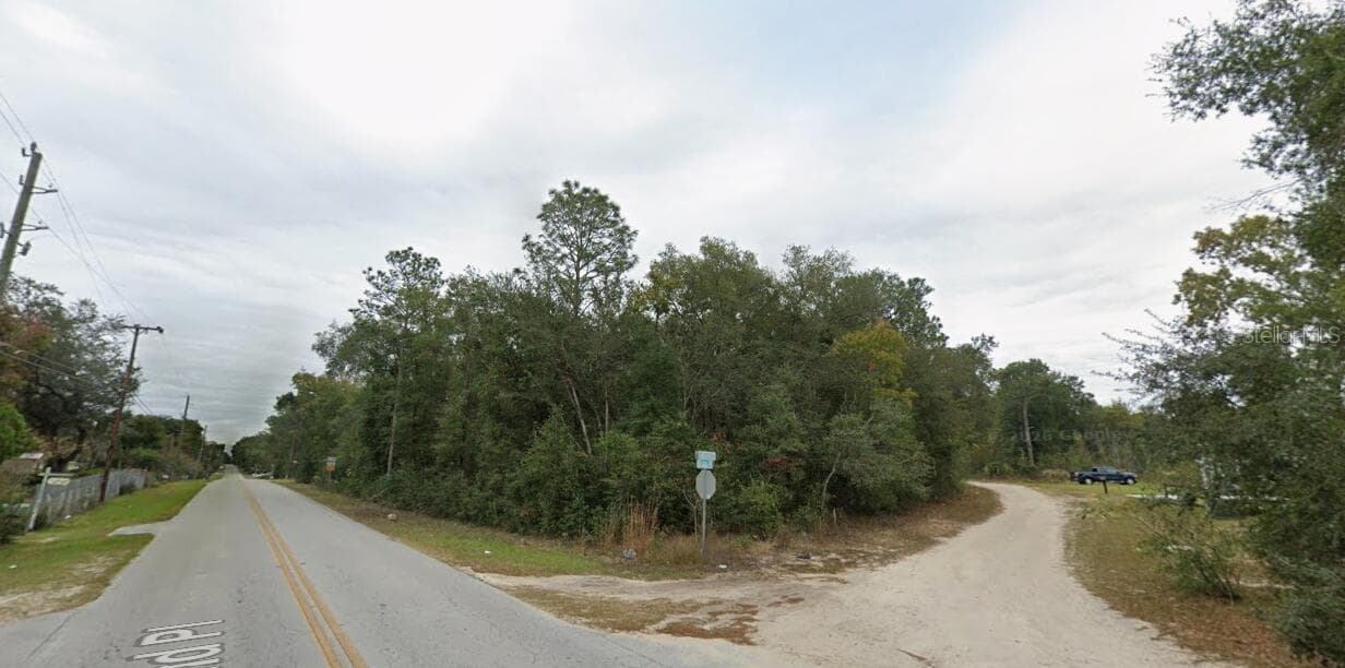 Land at 0 SE 132ND PL OCKLAWAHA, OCKLAWAHA, photo 4 of 4