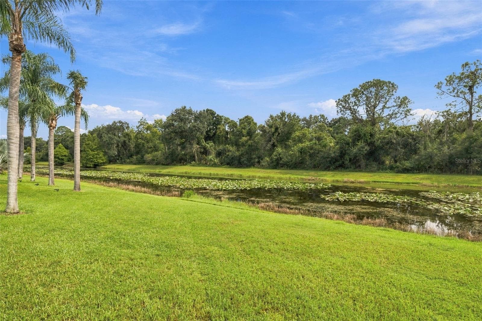 Single Family Residence at 12427 BRISTOL COMMONS CIR, TAMPA, photo 57 of 92