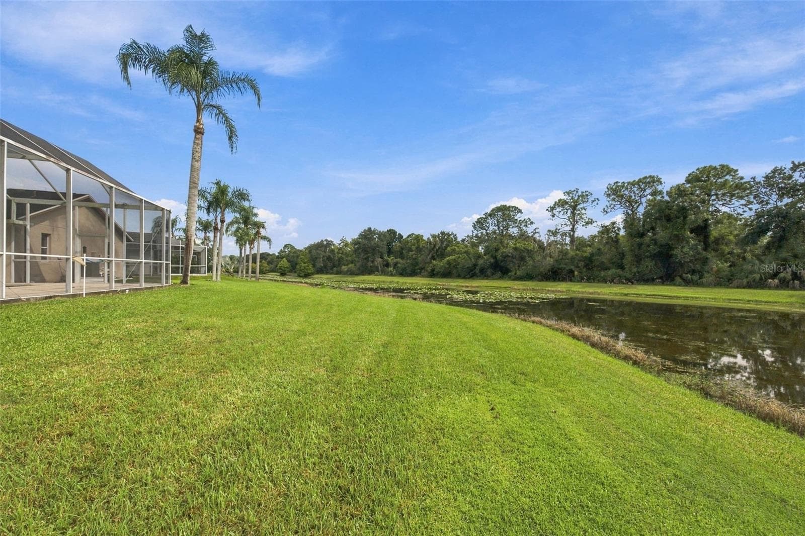 Single Family Residence at 12427 BRISTOL COMMONS CIR, TAMPA, photo 58 of 92