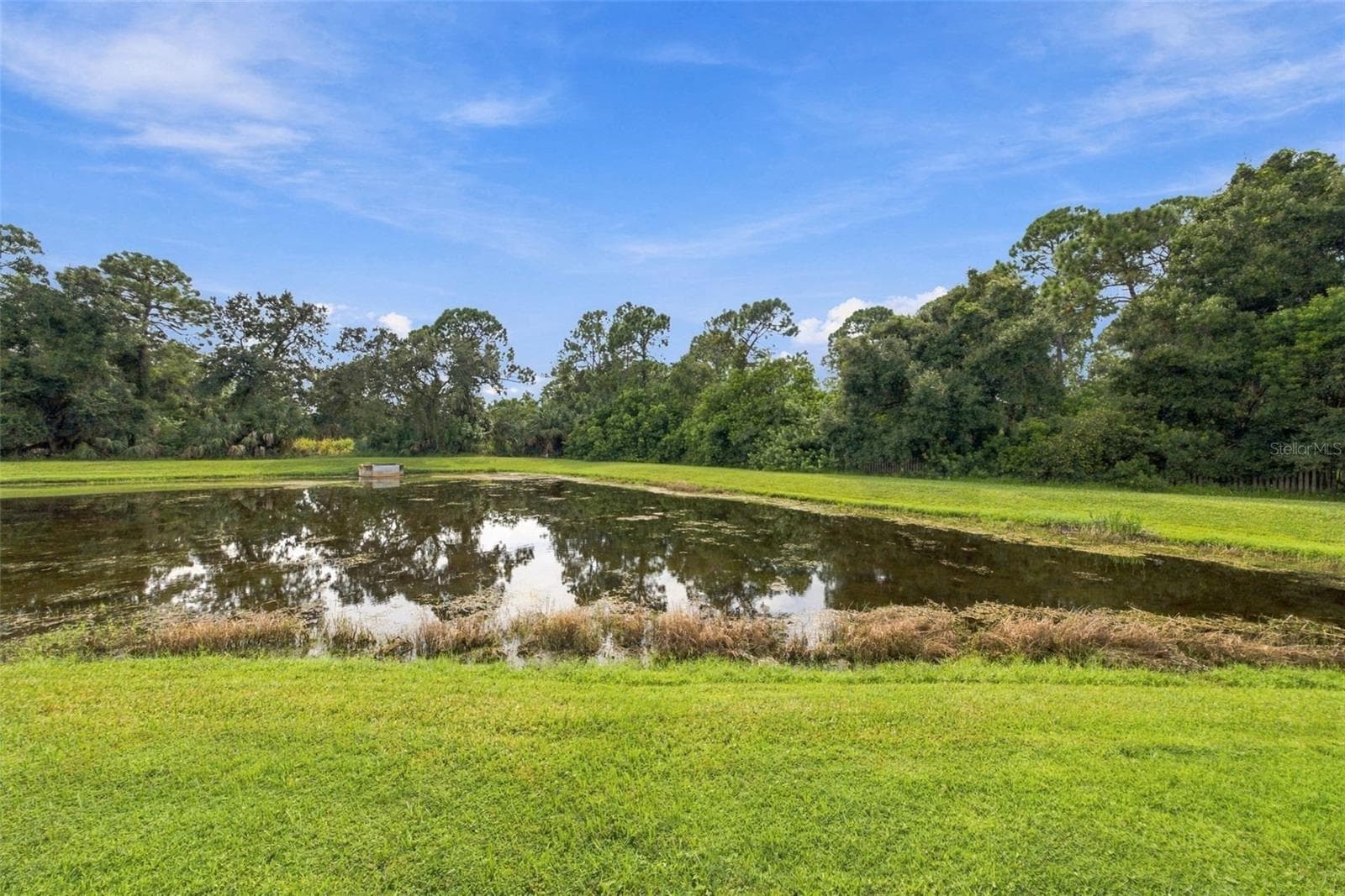 Single Family Residence at 12427 BRISTOL COMMONS CIR, TAMPA, photo 60 of 92