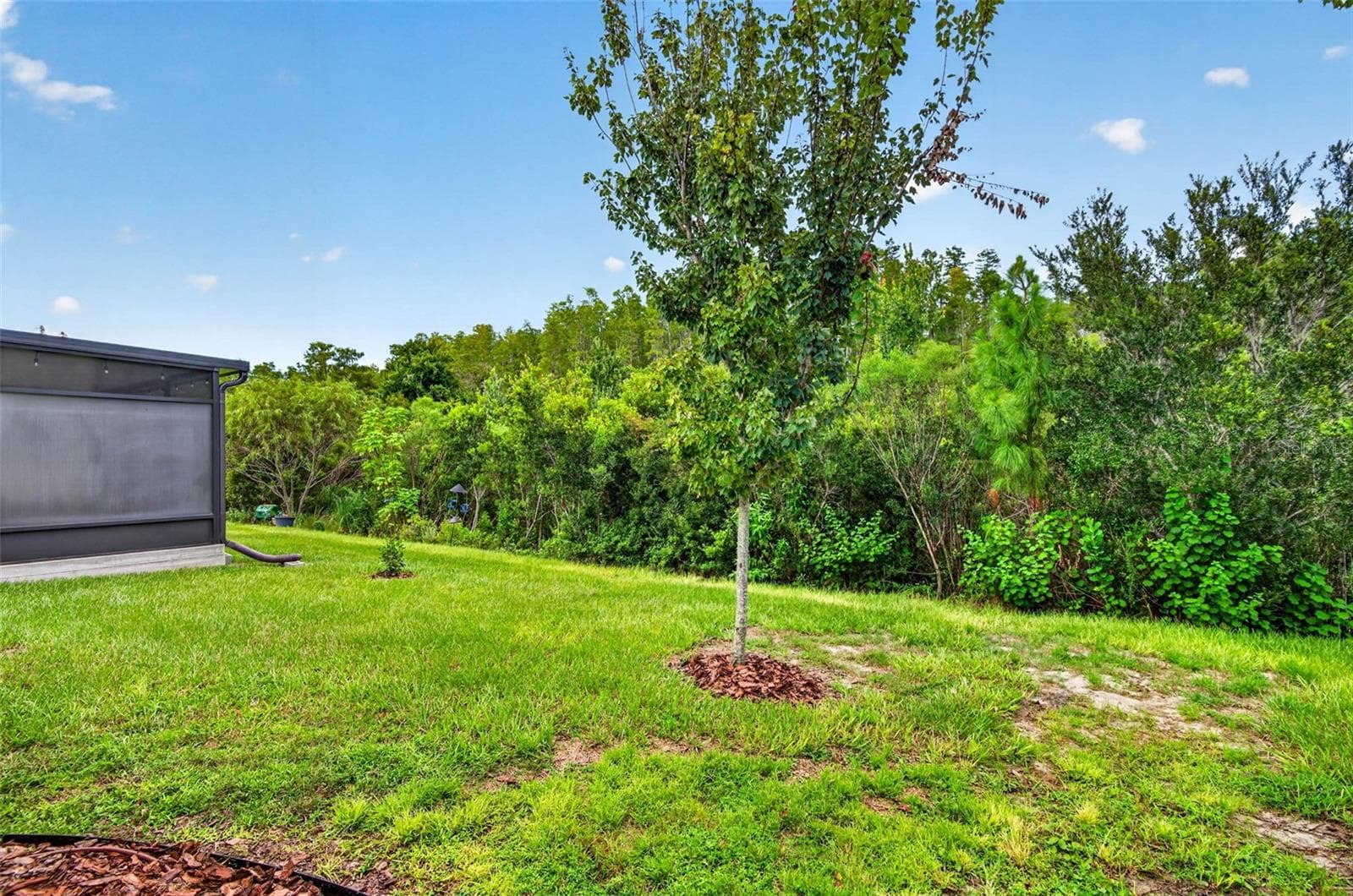 Villa at 18333 TURNING LEAF CIR, LAND O LAKES, photo 31 of 42