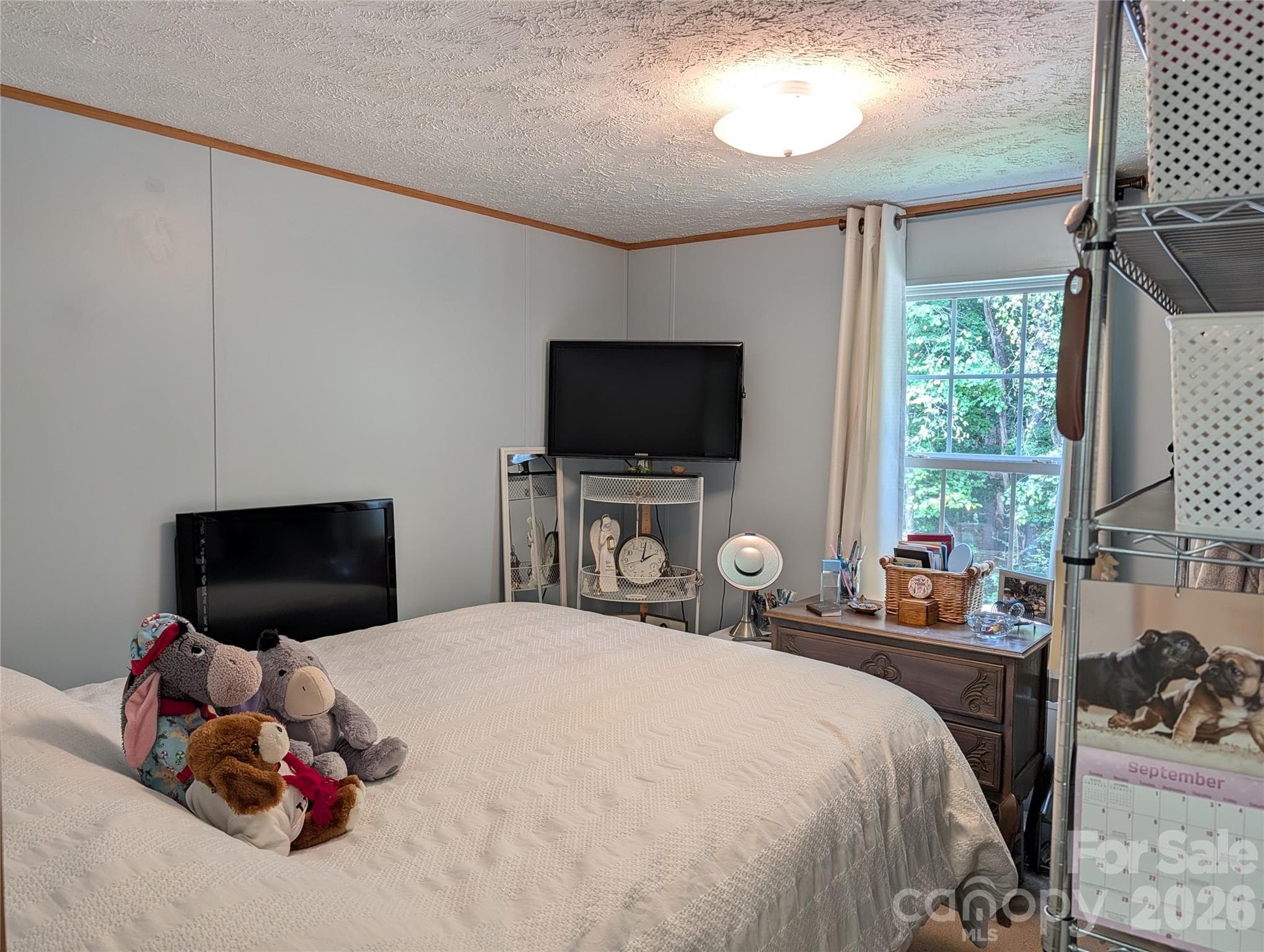 Single Family Residence at 29 Herschel King Drive, Candler, photo 11 of 18