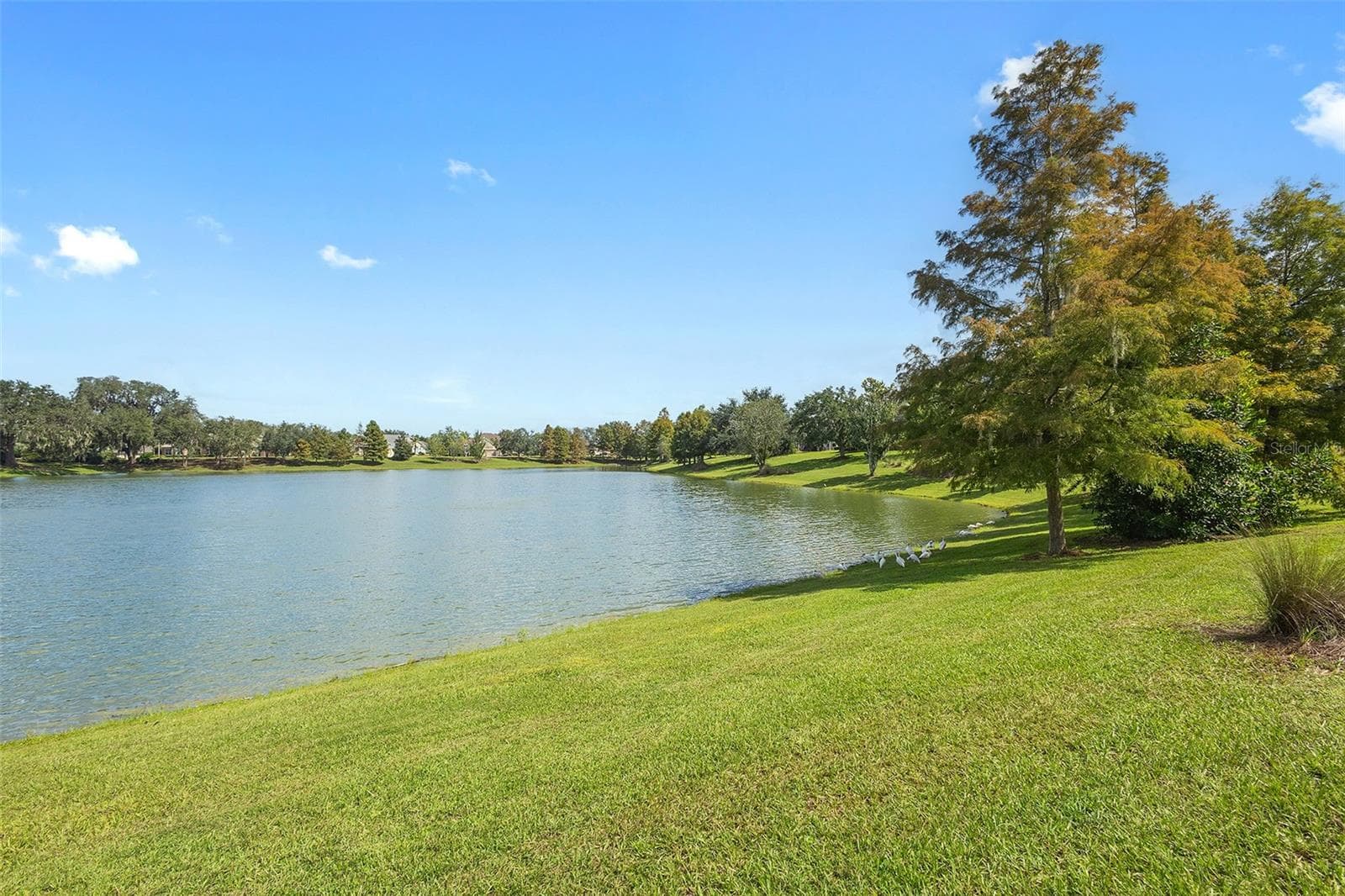 Single Family Residence at 1757 PENNECAMP DR, THE VILLAGES, photo 50 of 59