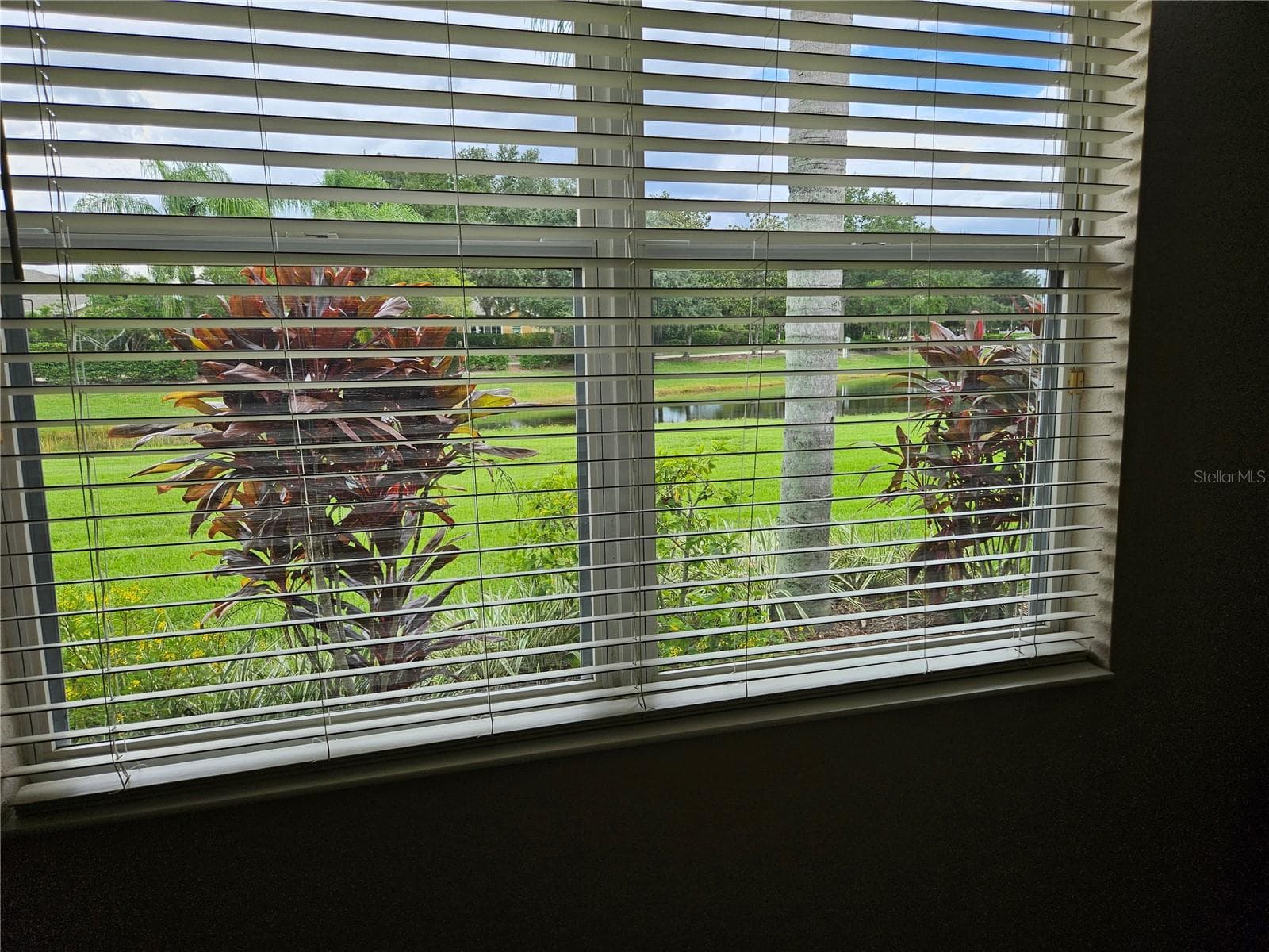 View from Primary bedroom - 1215 LYNDHURST GREENS DR #.000, SUN CITY CENTER