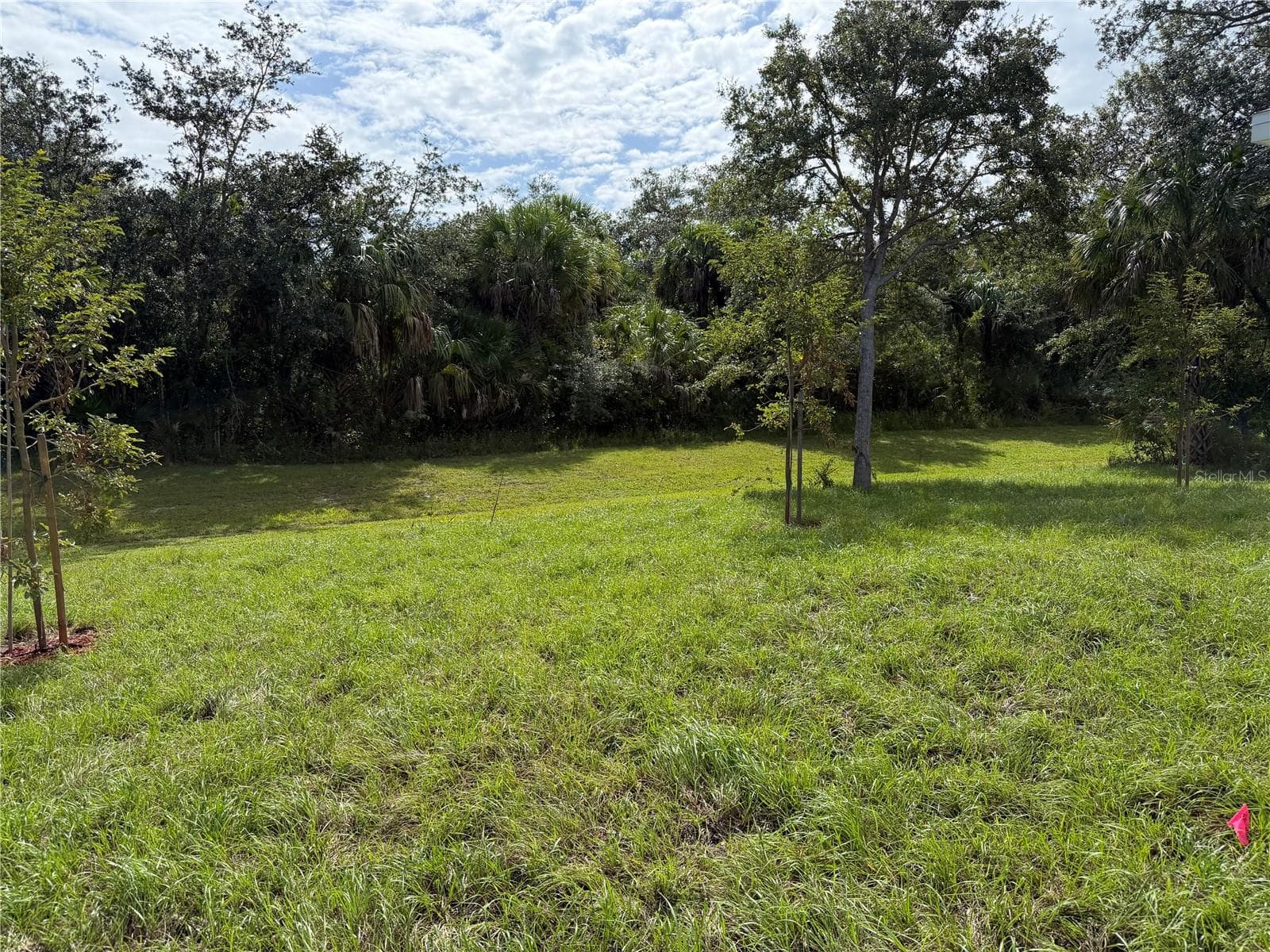 Single Family Residence at 404 PARAMARIBO ST, PUNTA GORDA, photo 3 of 6
