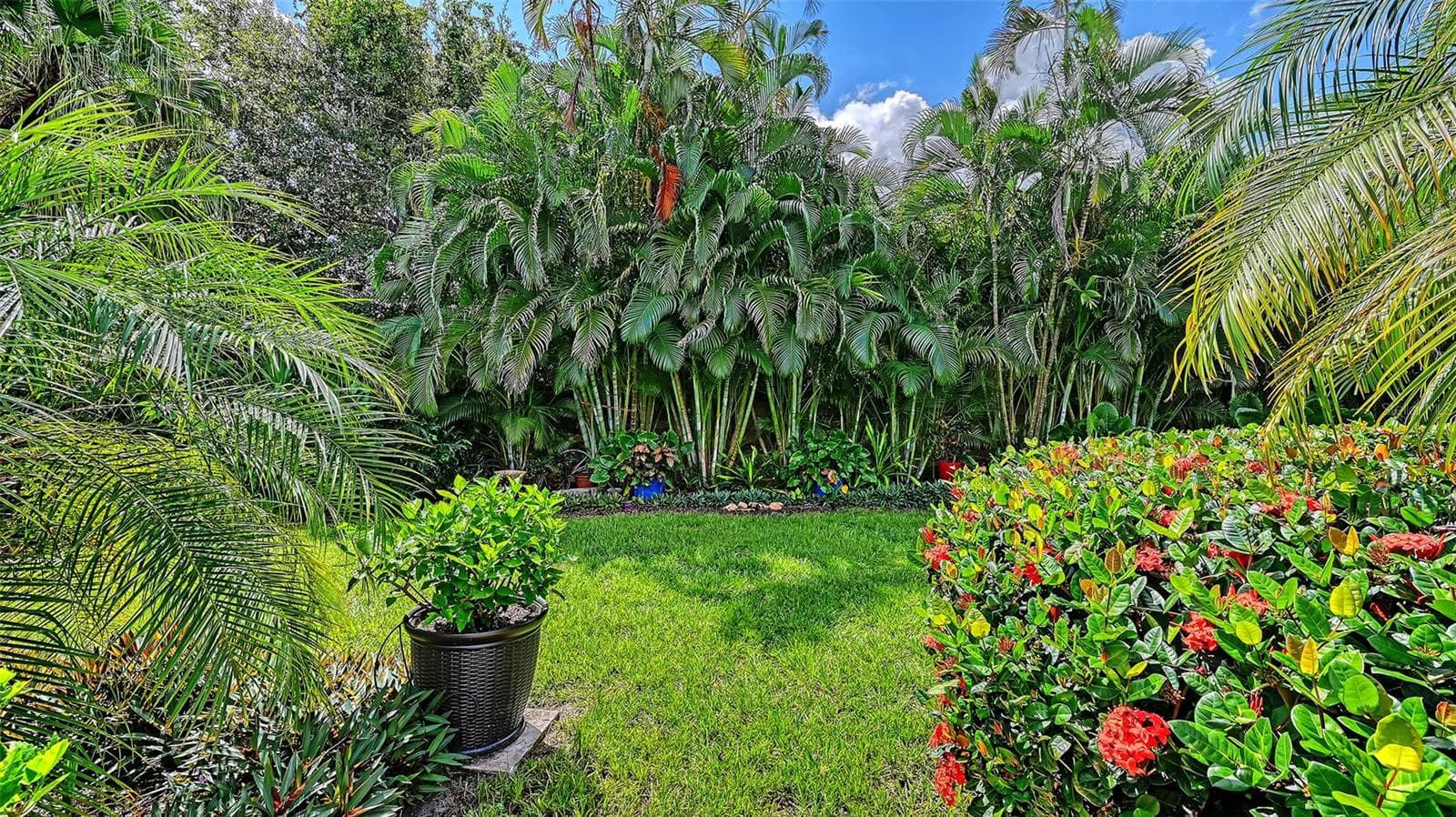 Lush Landscaping - 5220 SUNNYDALE CIR S, SARASOTA