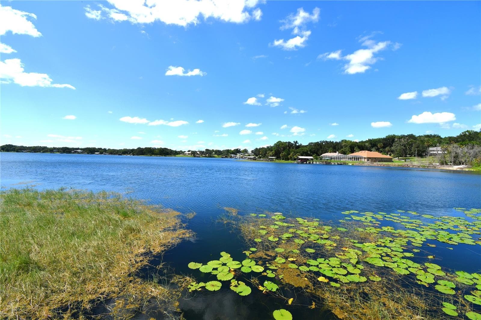 View of Lake Gertrude from Dock - 611 OLD EUSTIS RD, MOUNT DORA