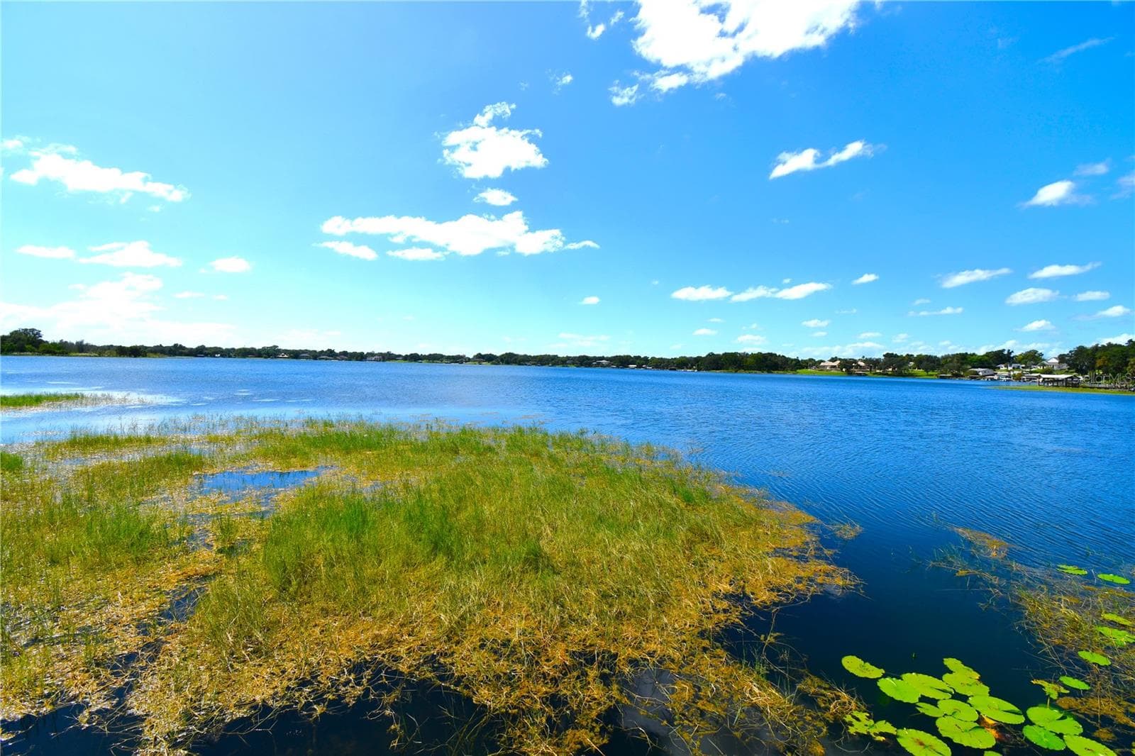 View of Lake Gertrude - 611 OLD EUSTIS RD, MOUNT DORA