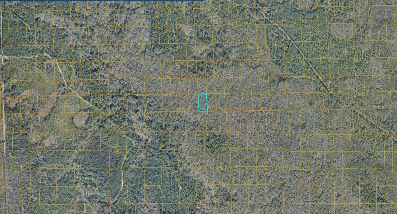 Land at 7106-01-15-0090 NO ST, DELAND, photo 2 of 3