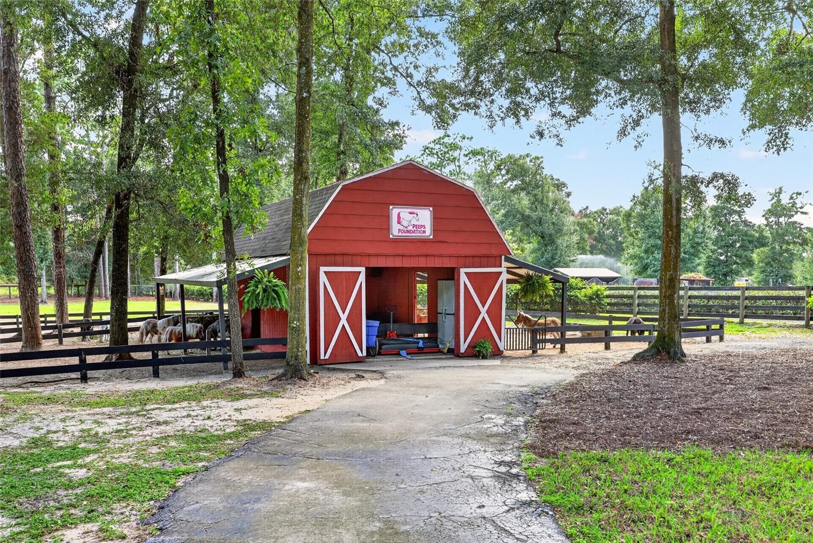 Farm at 7808 NW 21ST ST, OCALA, photo 55 of 80