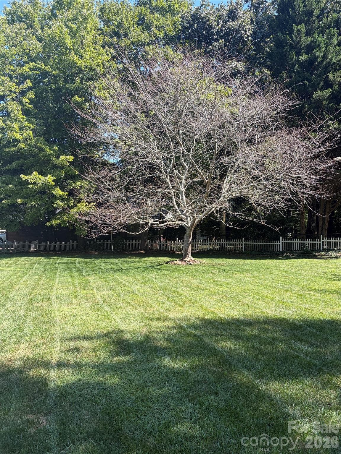 Backyard - 1697 Old Mill Road, Lincolnton