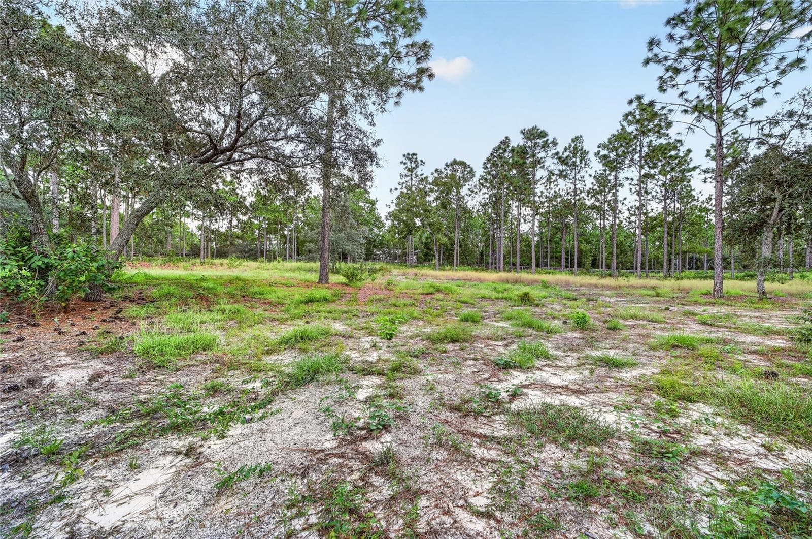 Pasture - 4295 N BRIDGER DR, BEVERLY HILLS