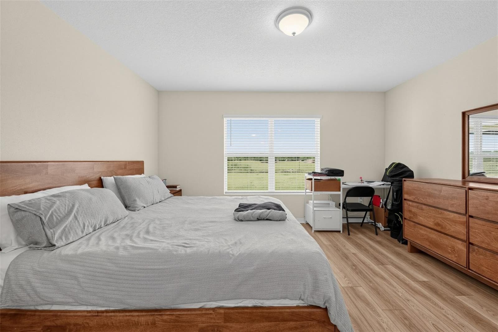 Primary Bedroom - 11728 FIRESPIKE ST, RIVERVIEW