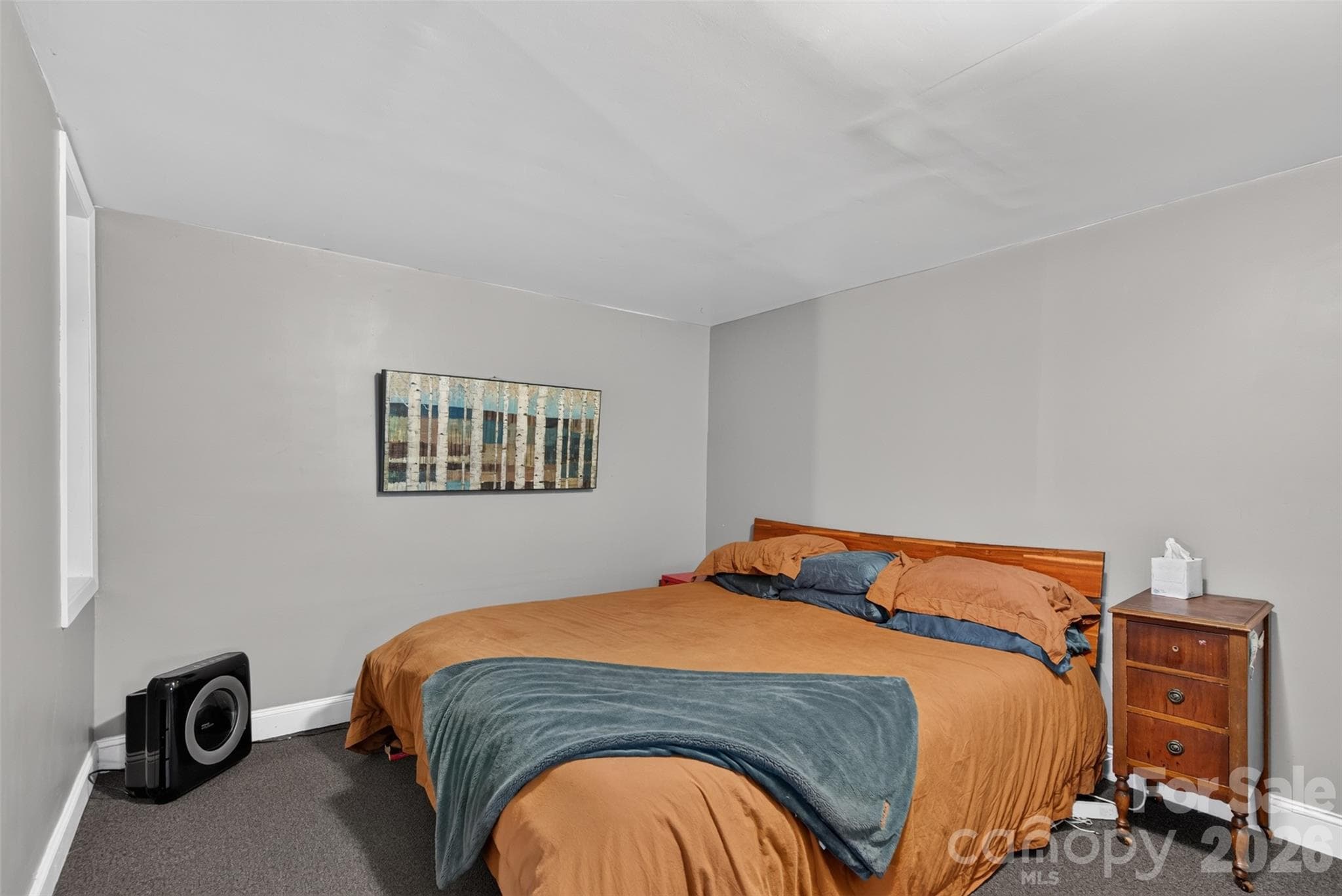 Basement Bedroom - 70 Saint Dunstans Circle, Asheville